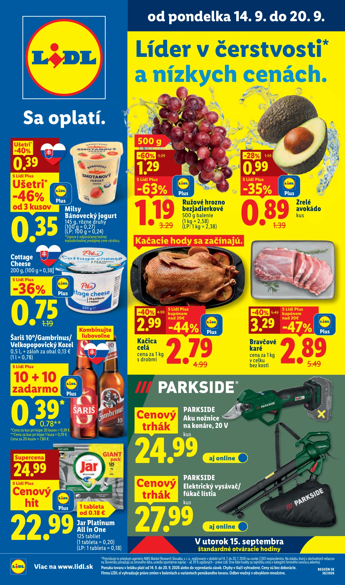 Flyer page 1