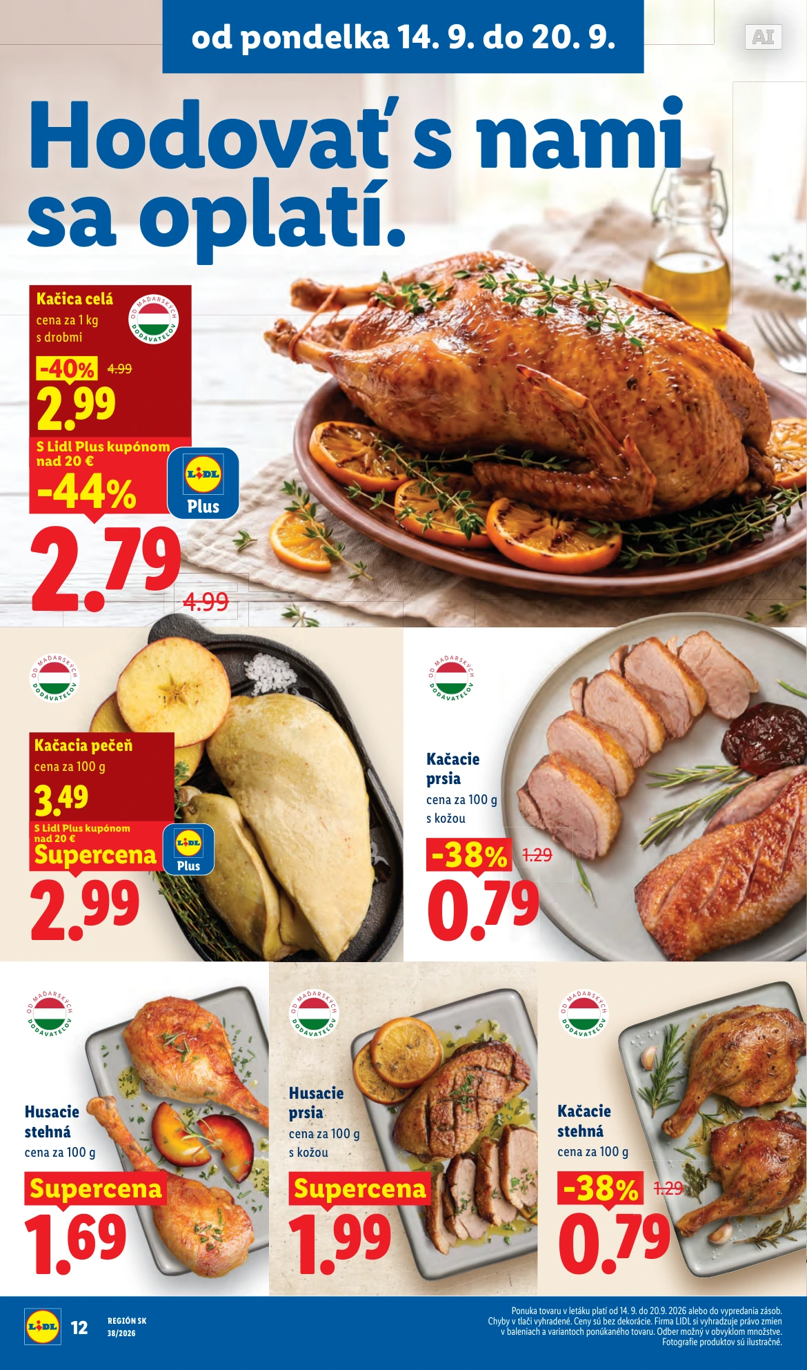 Flyer page 24