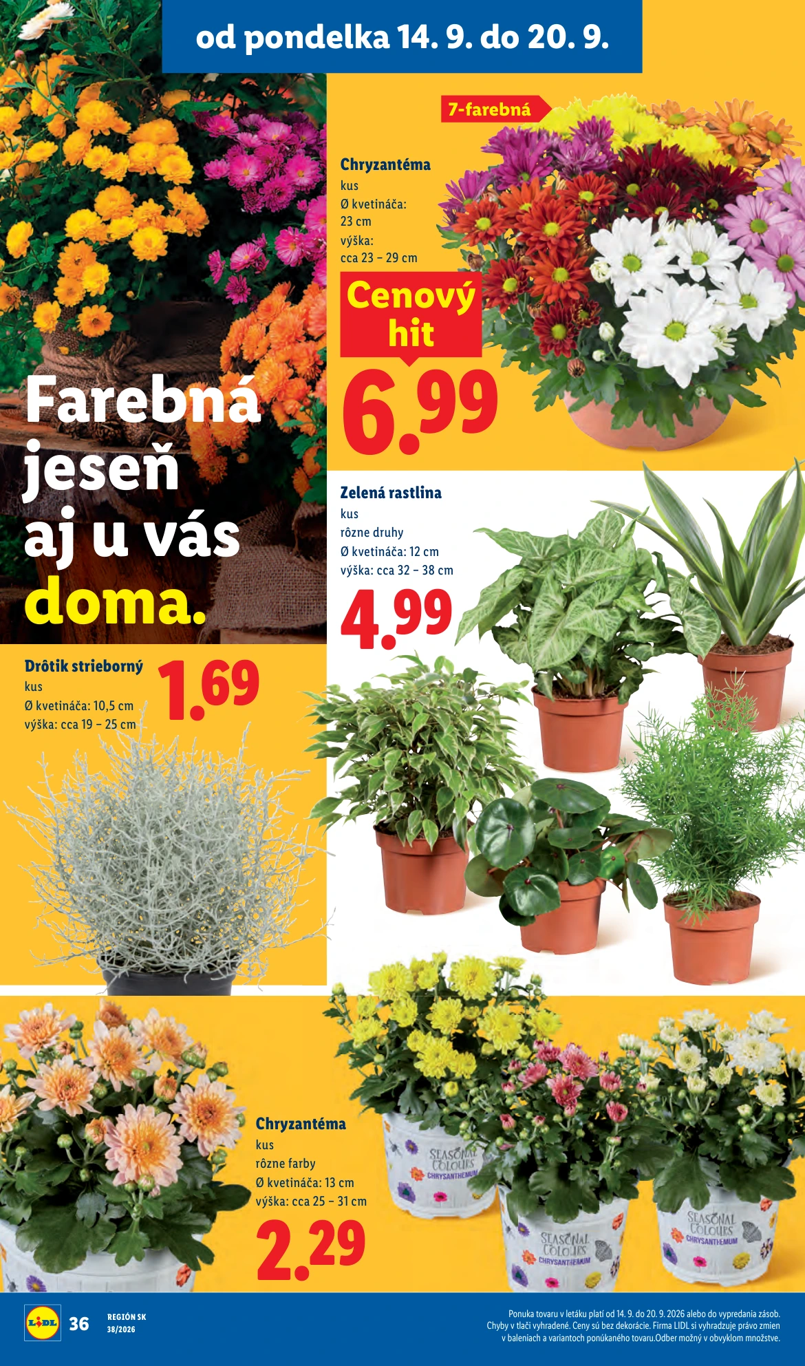 Flyer page 58