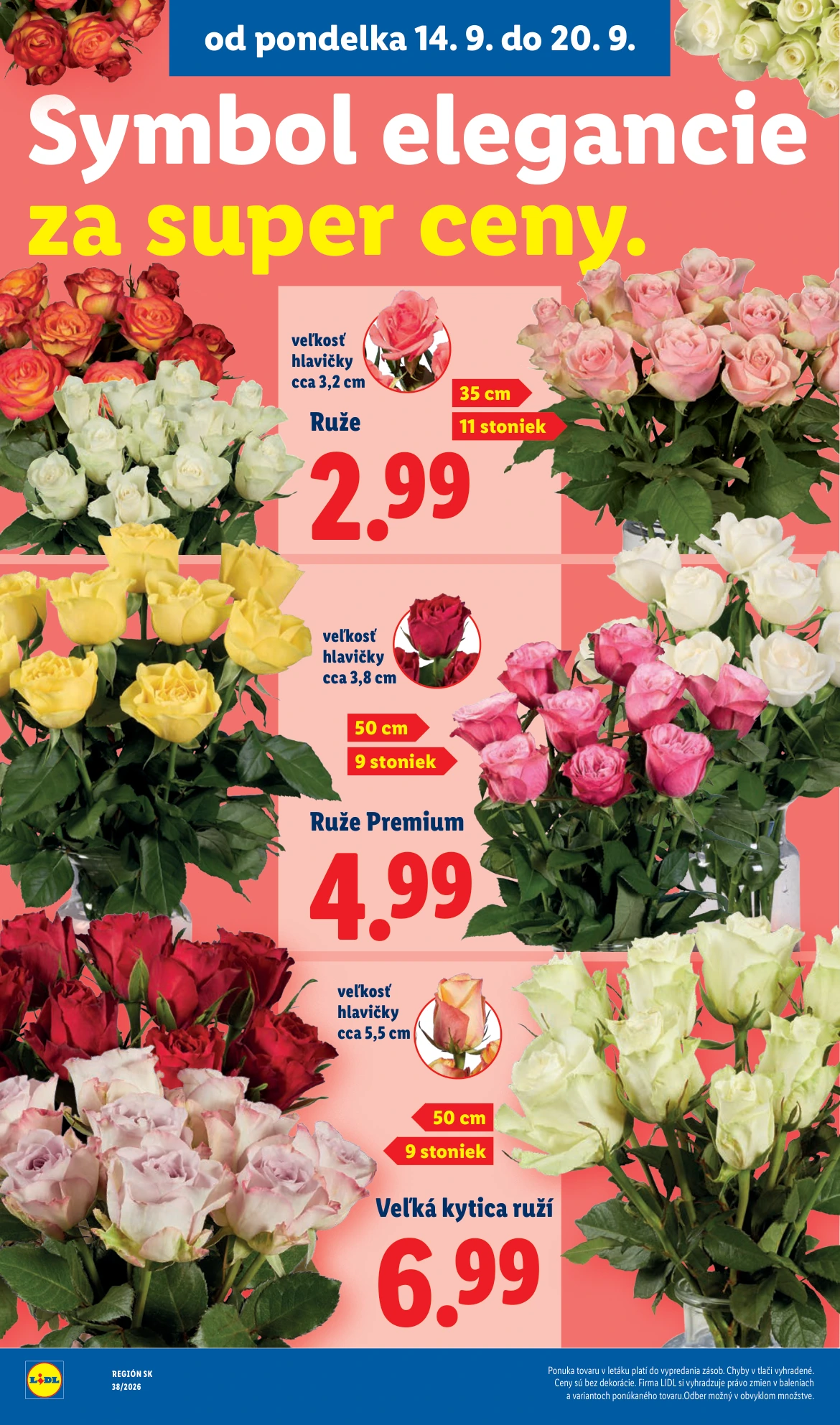Flyer page 59