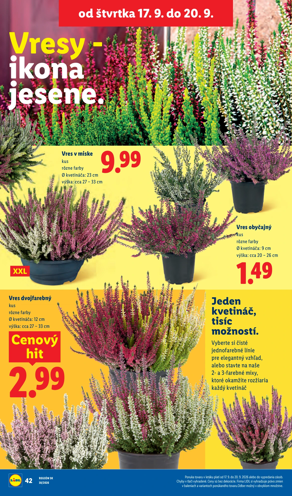 Flyer page 86