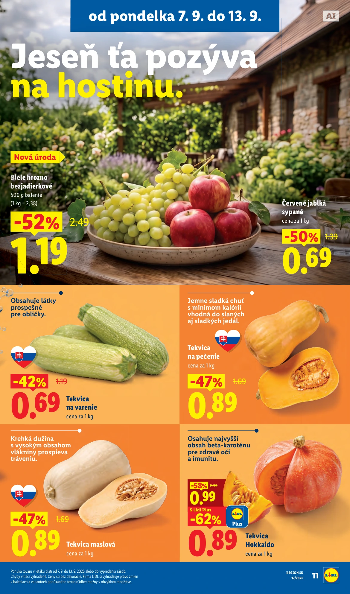Flyer page 13