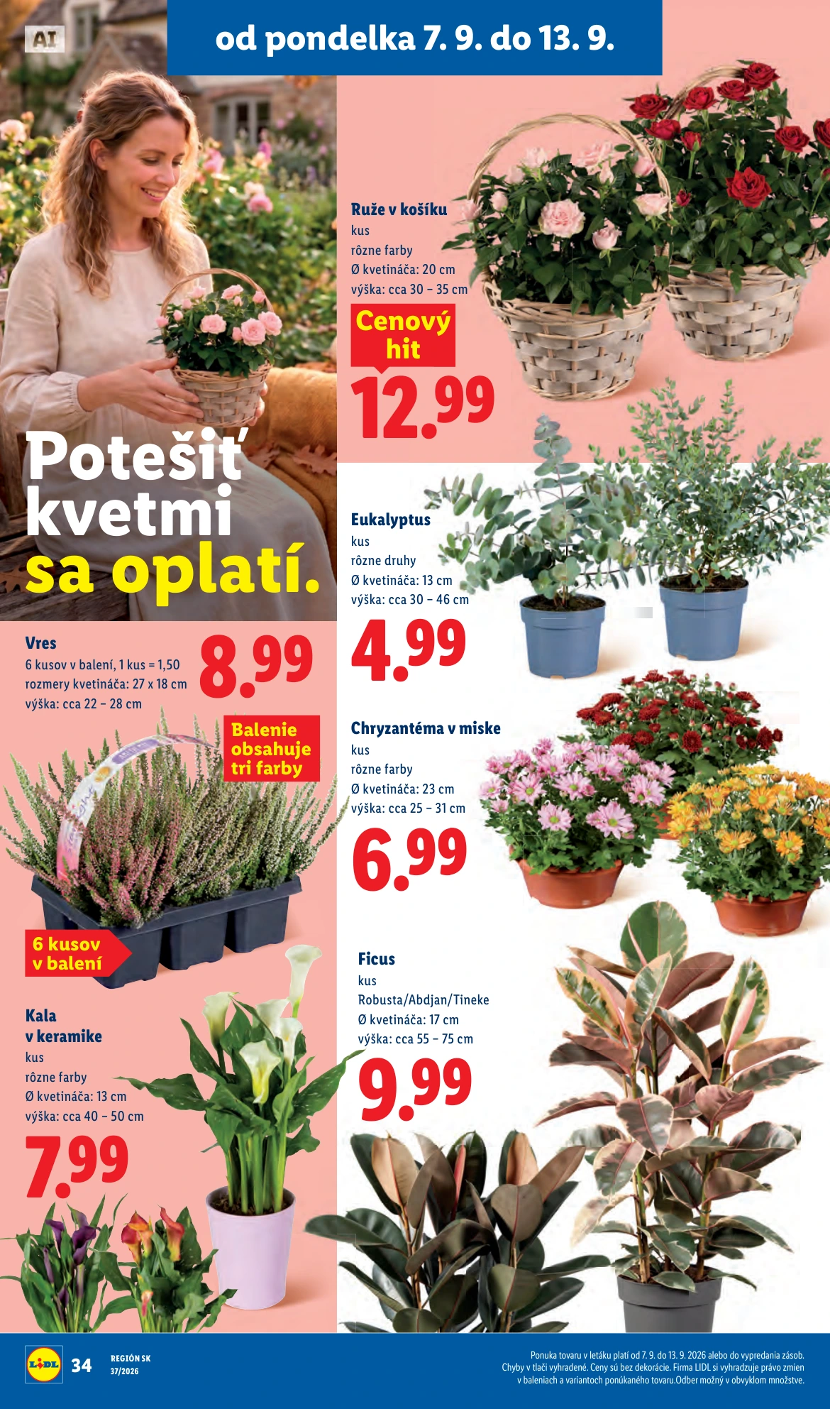 Flyer page 45
