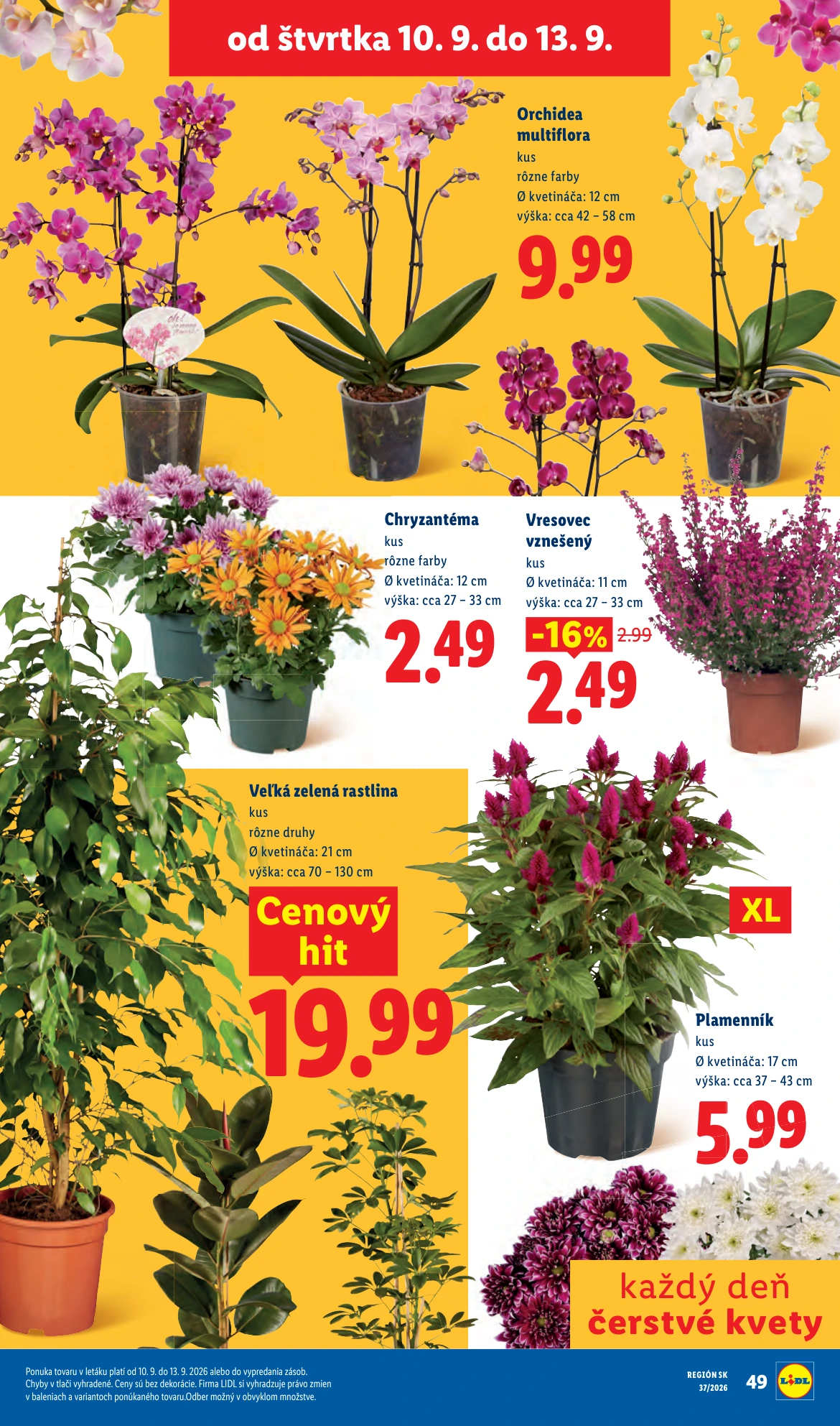 Flyer page 75