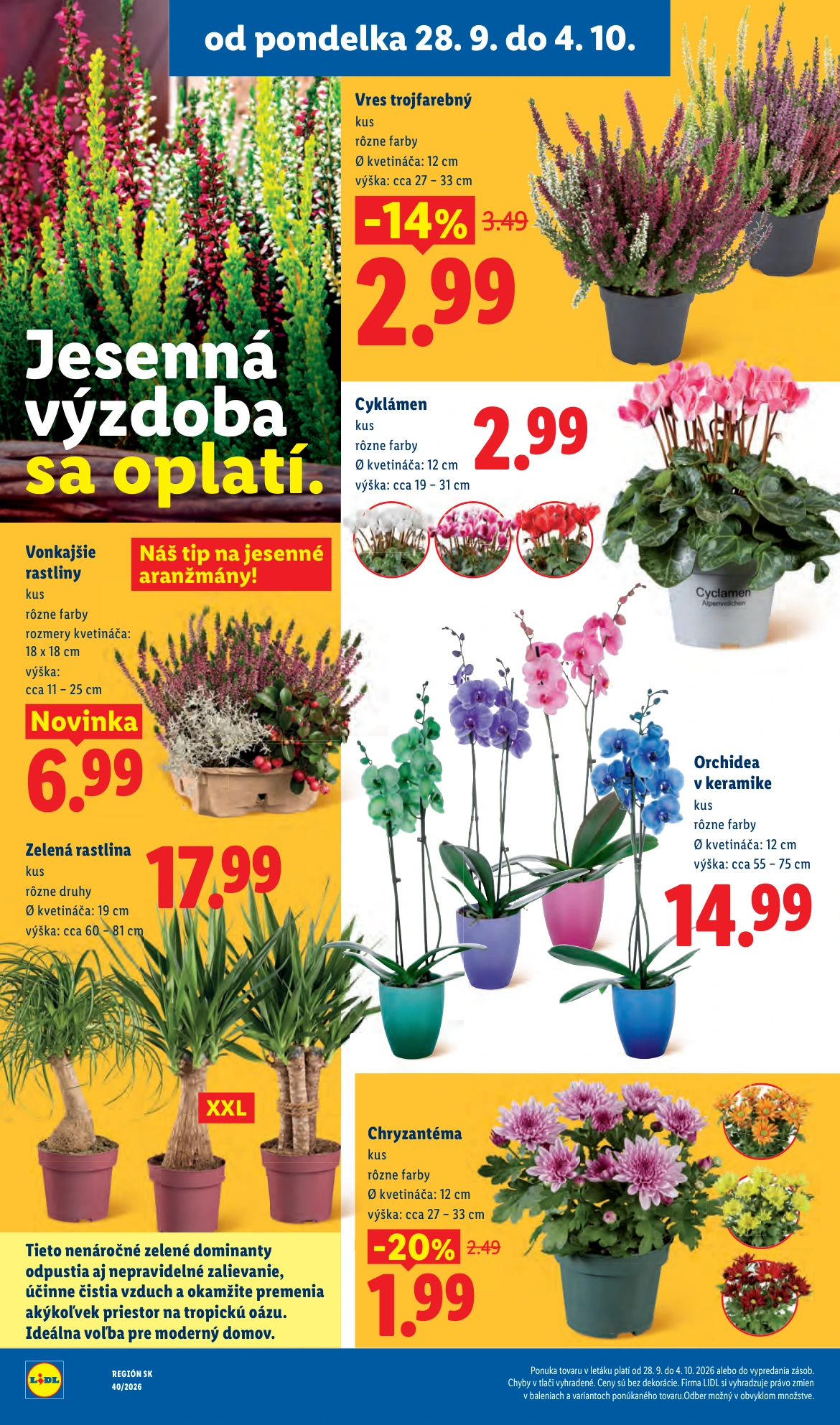 Flyer page 51