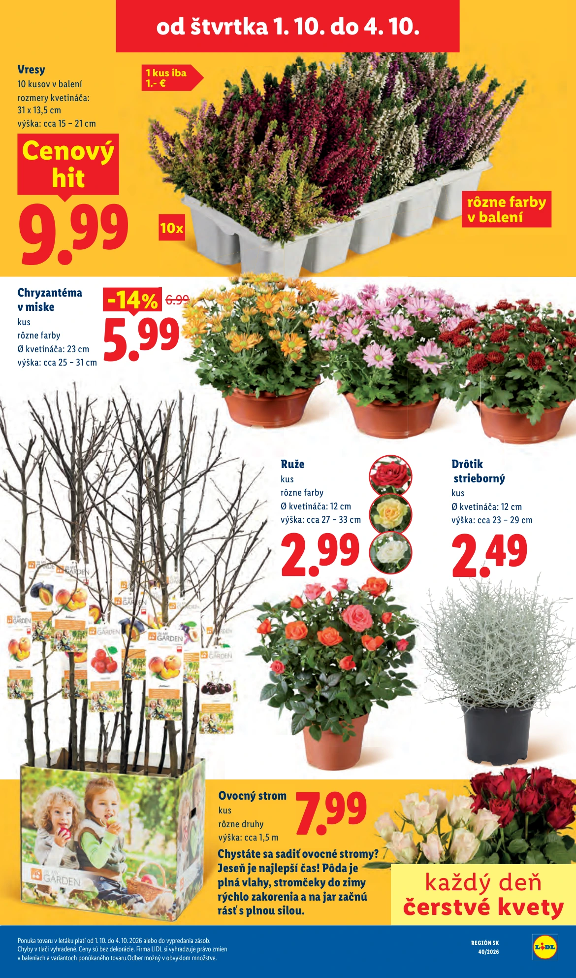 Flyer page 81