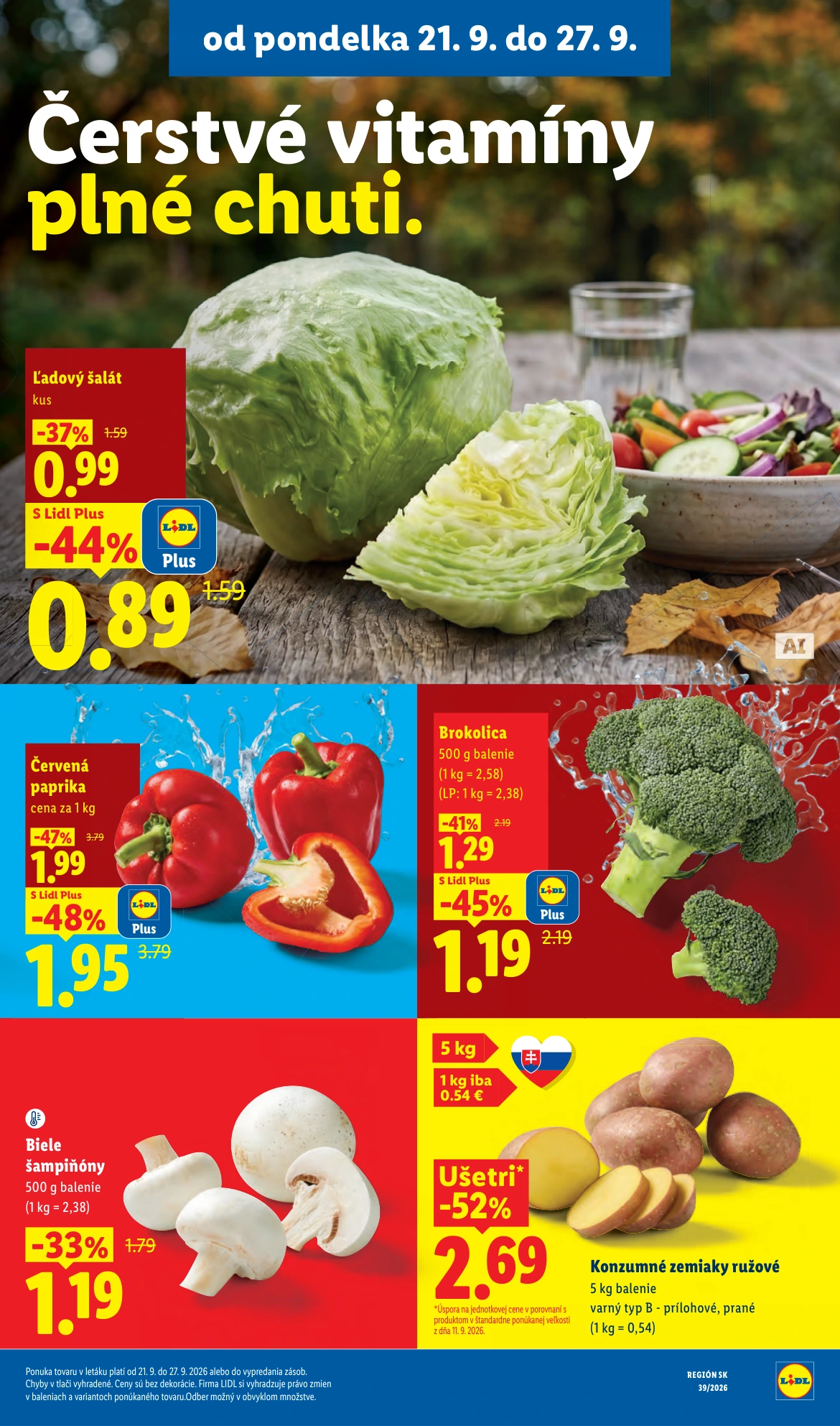 Flyer page 21