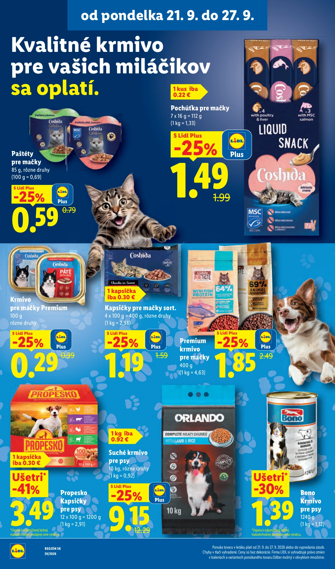 Flyer page 46