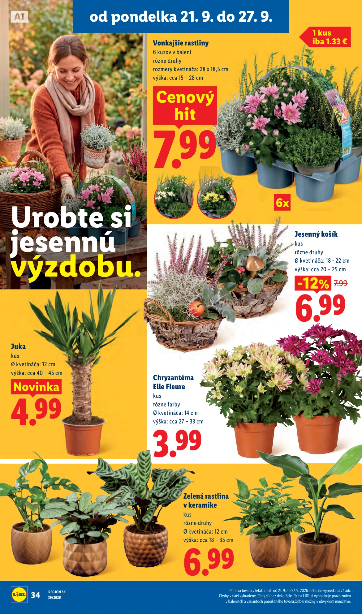 Flyer page 49