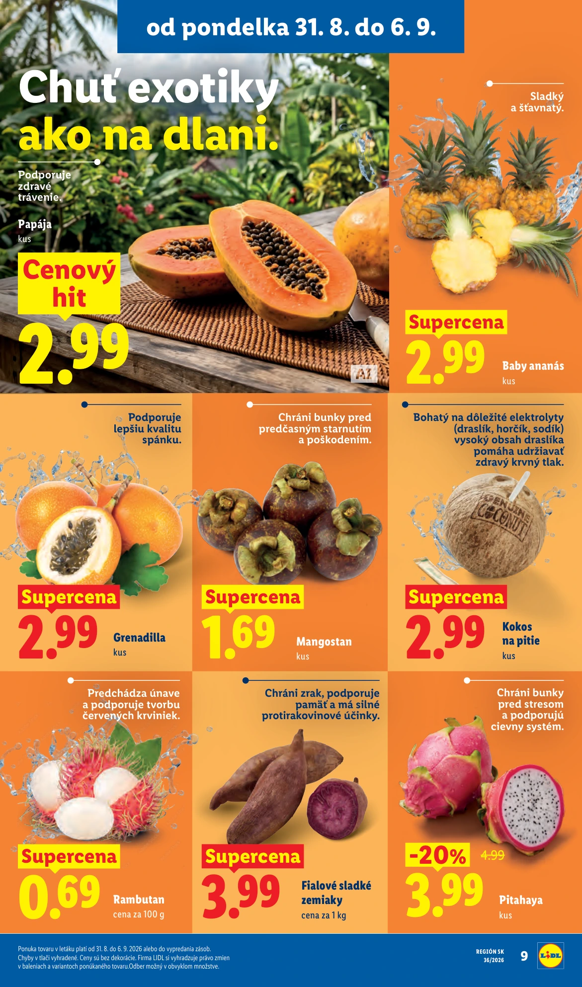 Flyer page 10