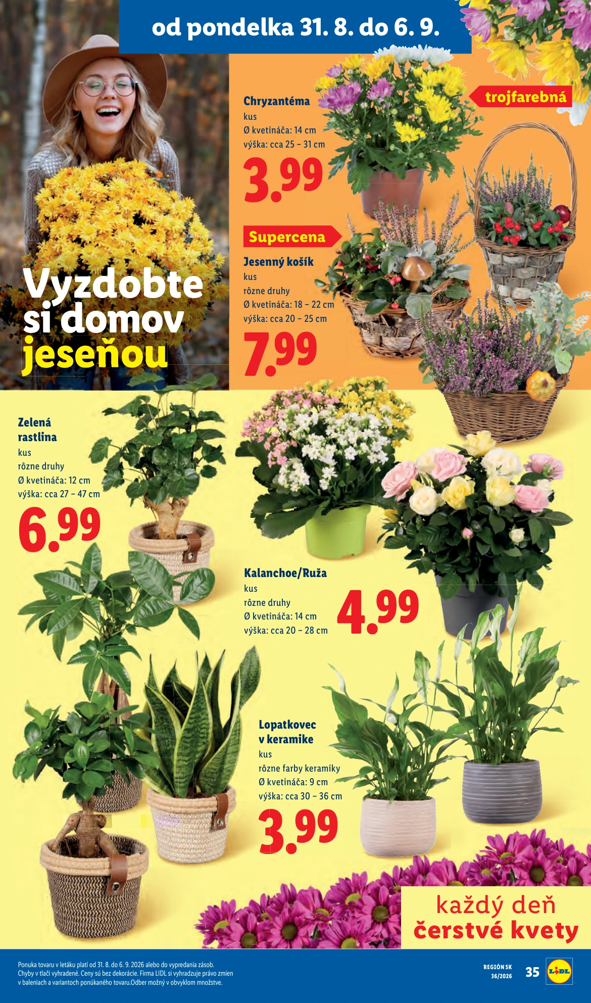 Flyer page 49