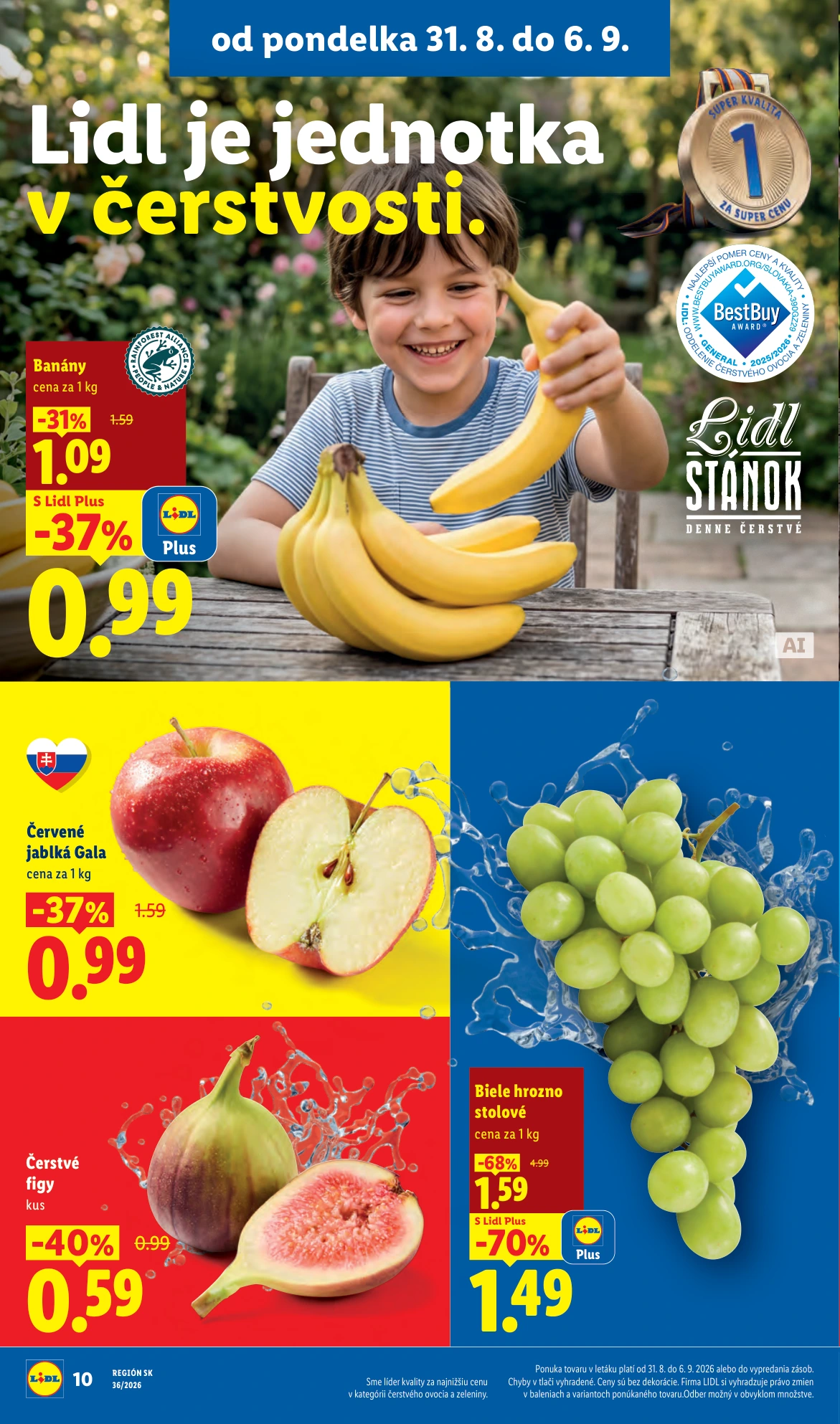 Flyer page 8