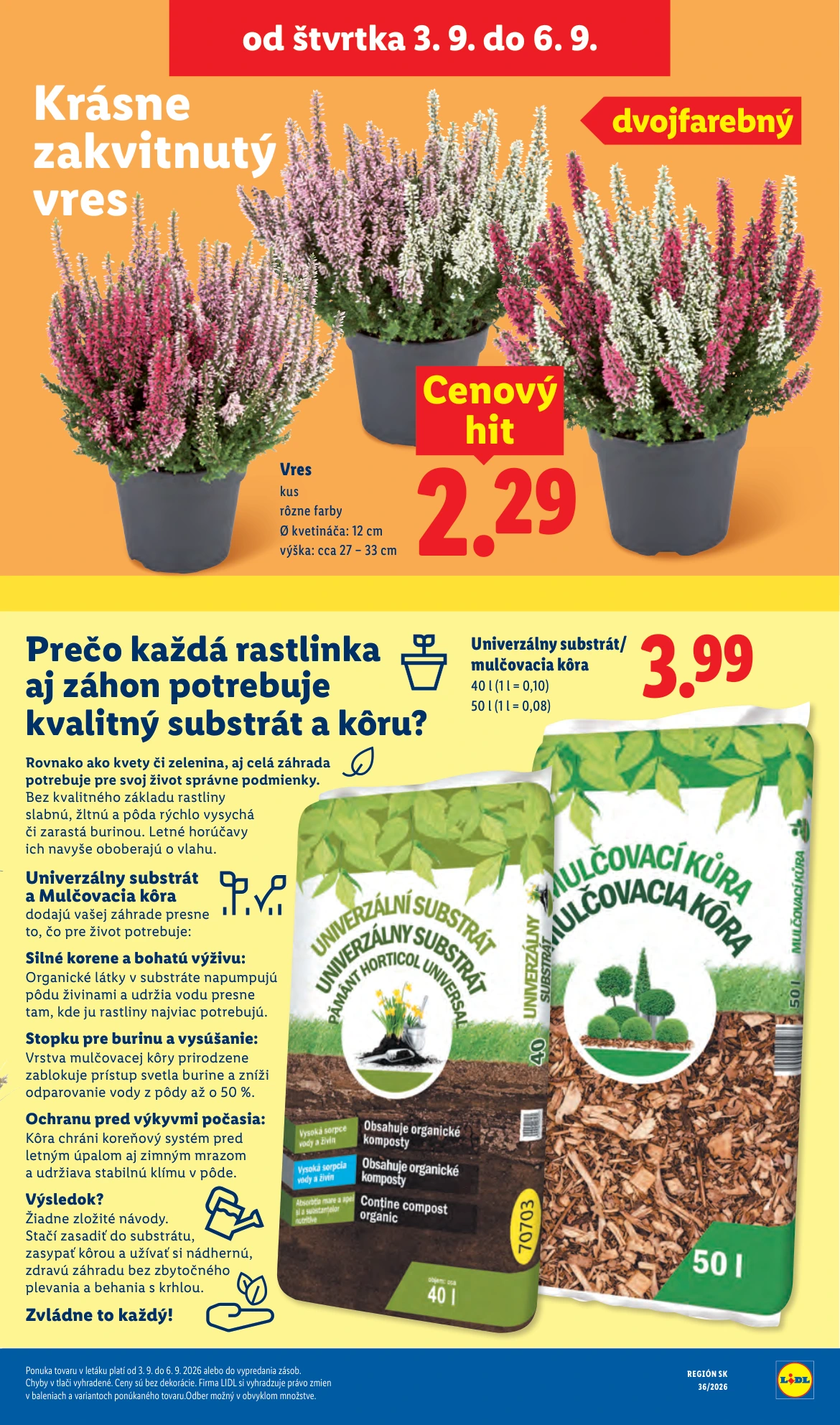 Flyer page 91
