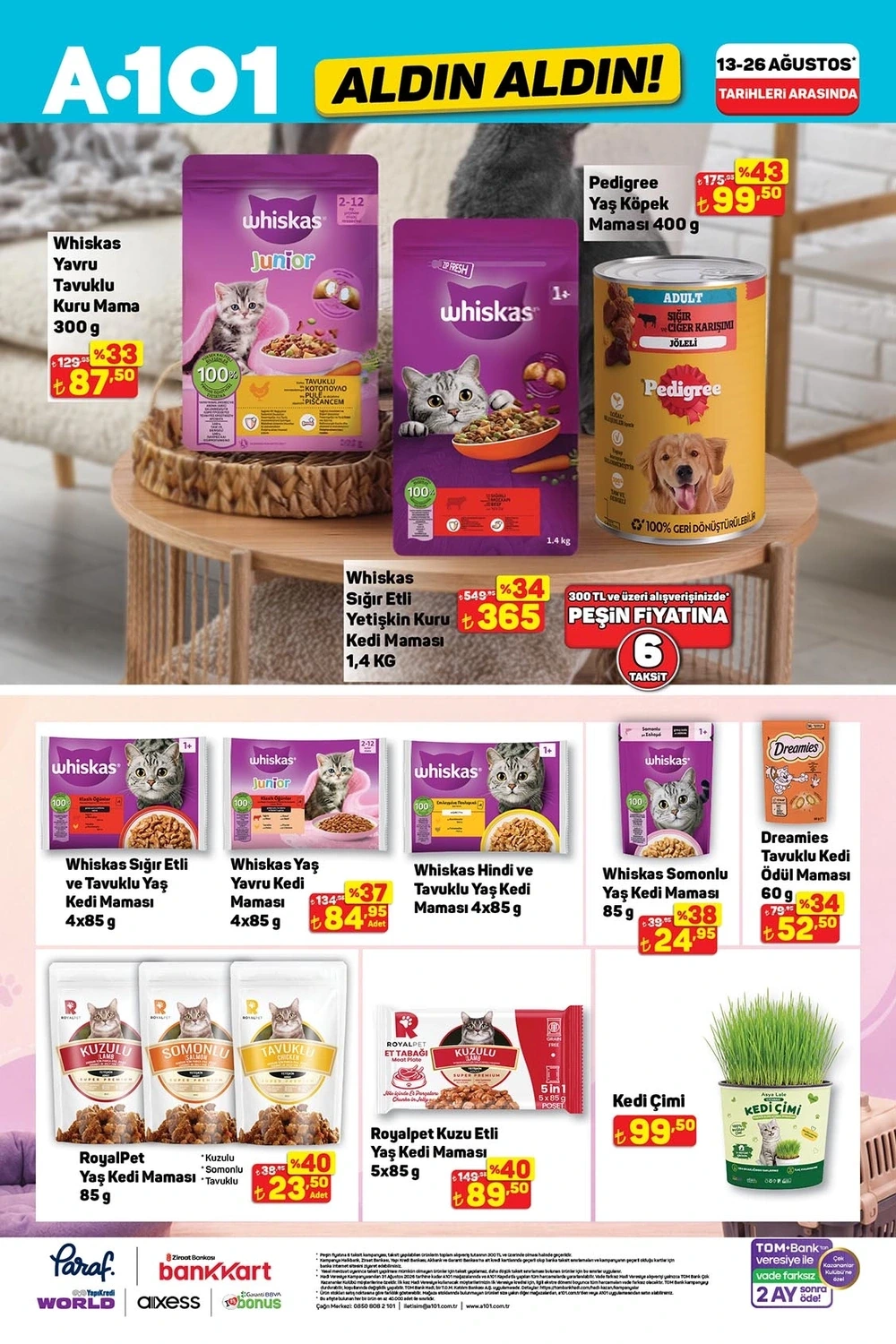 Flyer page 12