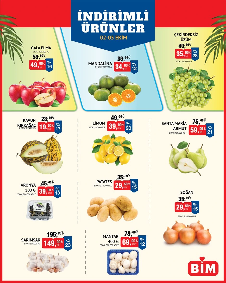 Flyer page 3