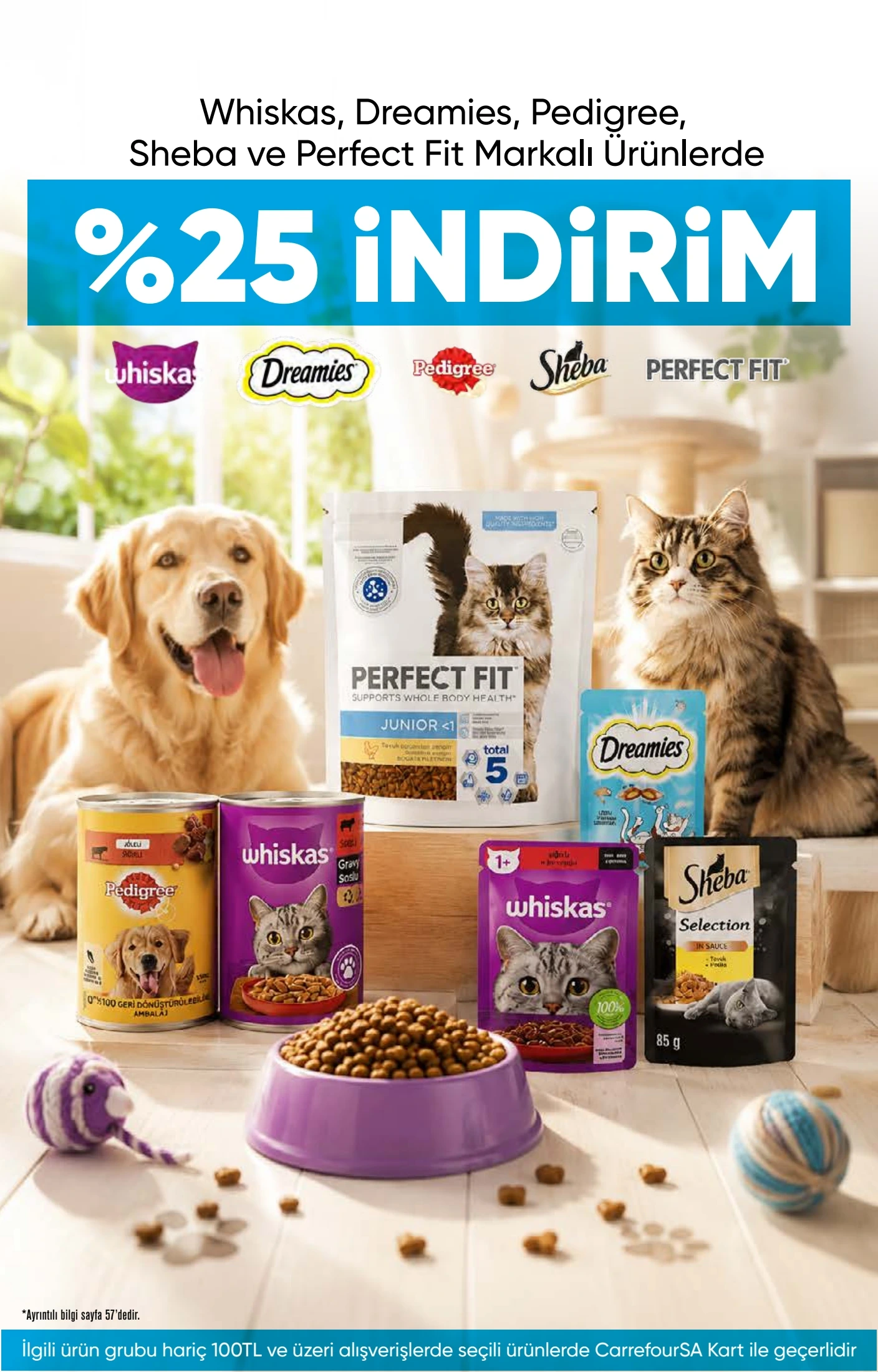 Flyer page 67
