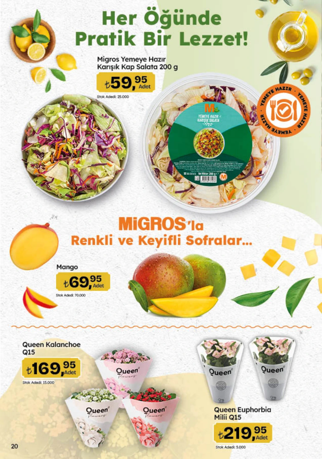 Flyer page 20