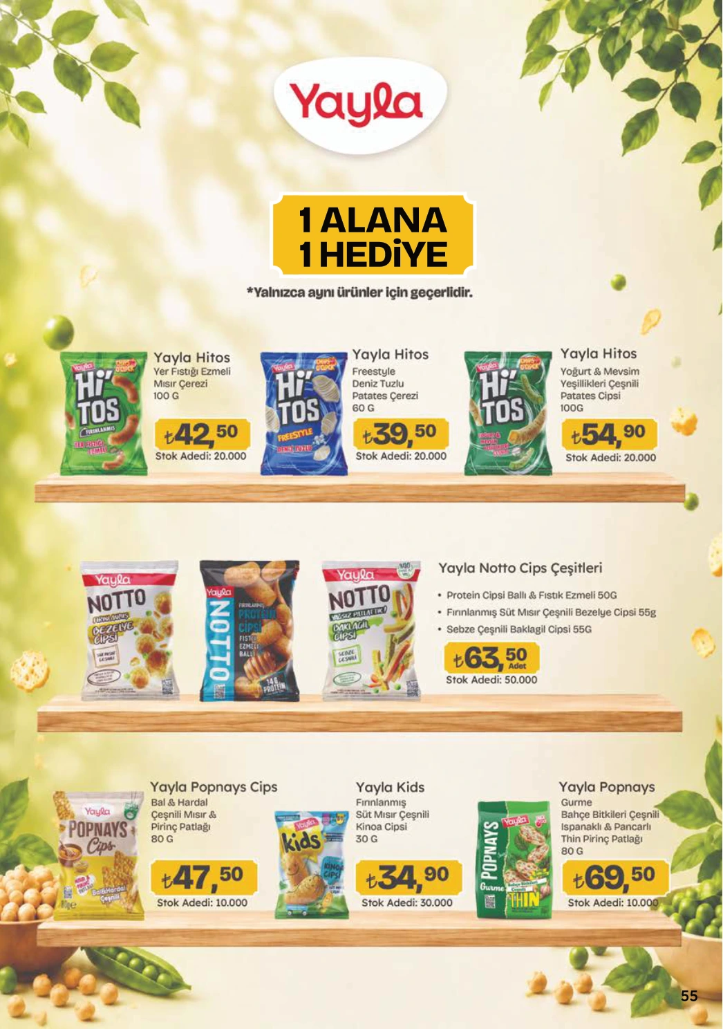 Flyer page 55