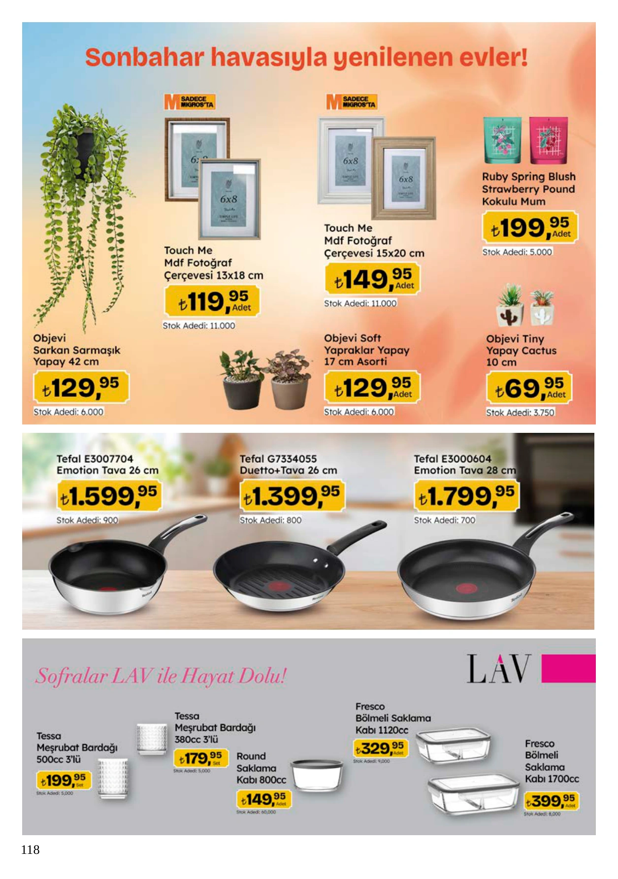 Flyer page 118