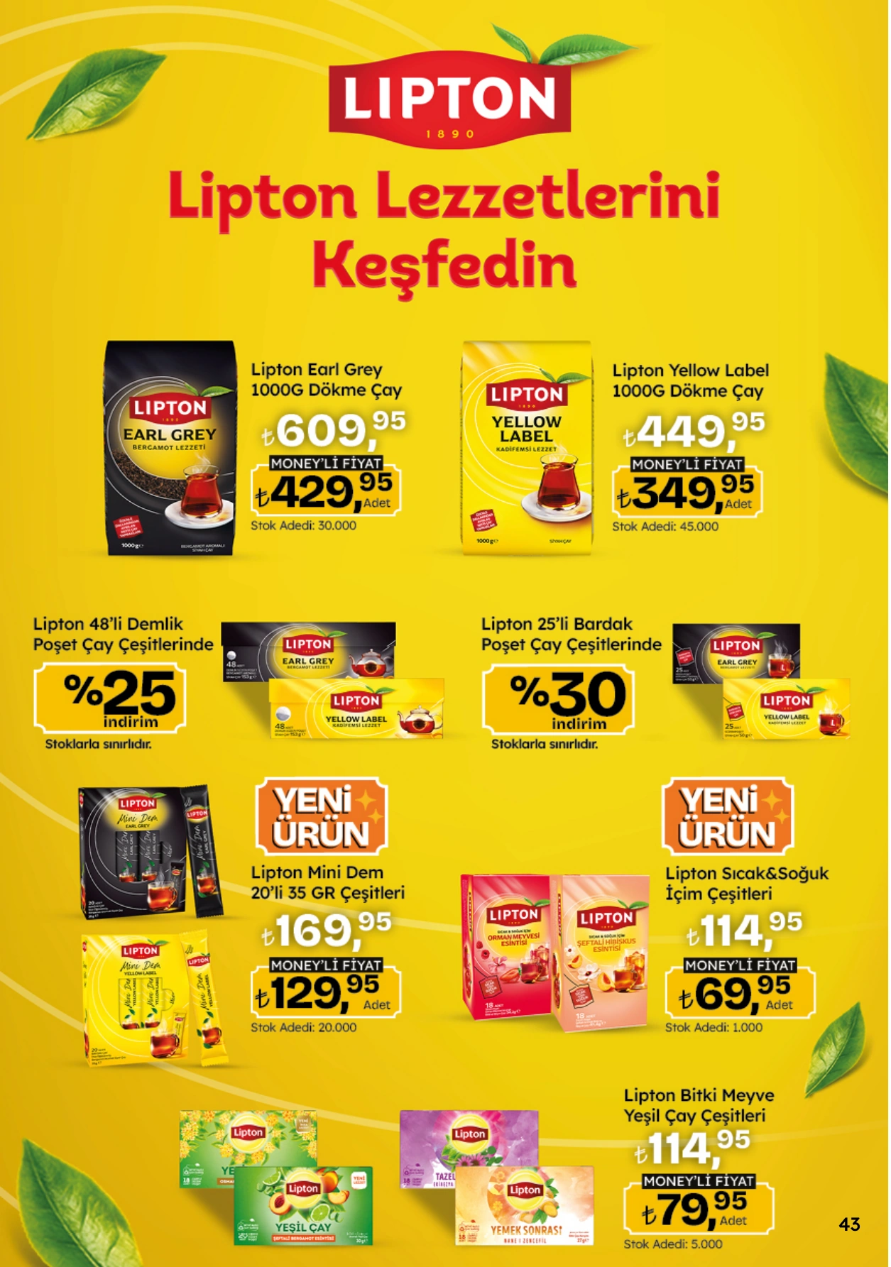 Flyer page 43