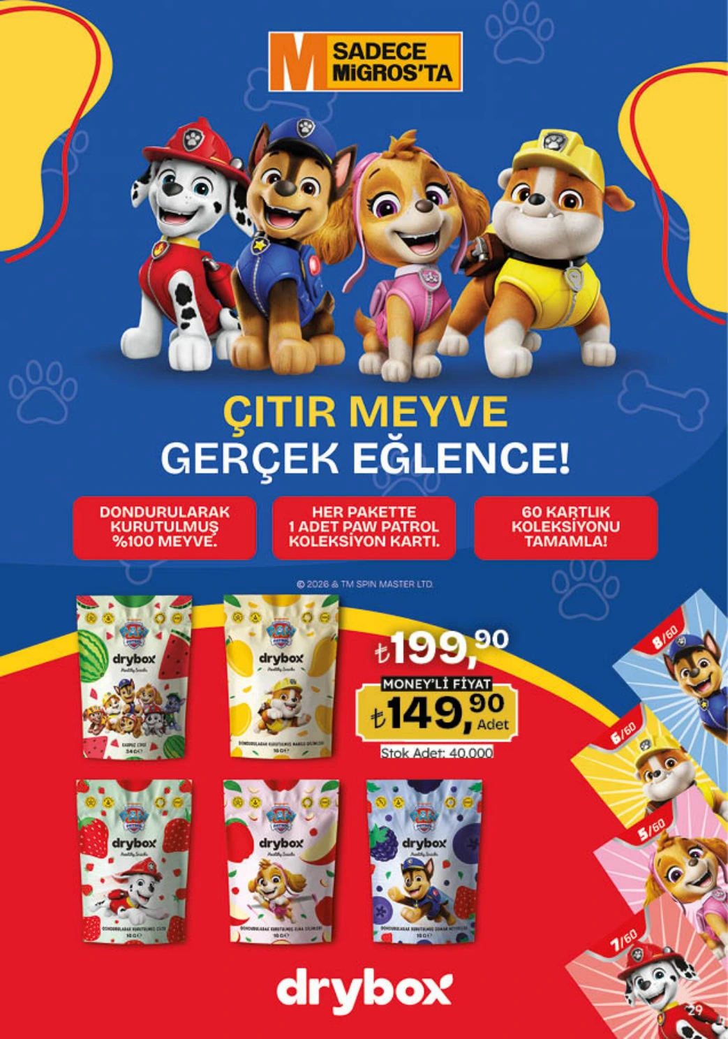 Flyer page 29