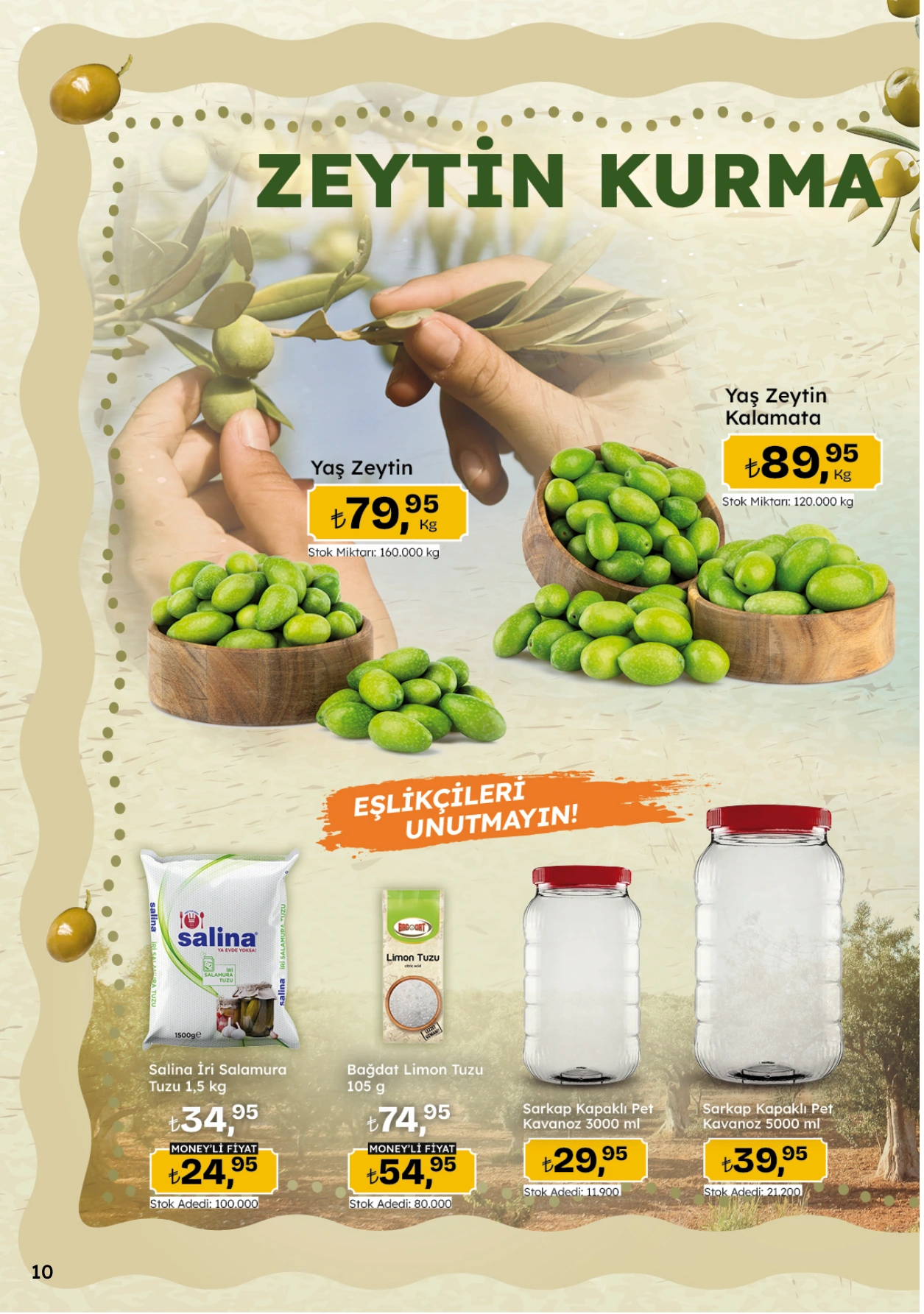 Flyer page 10