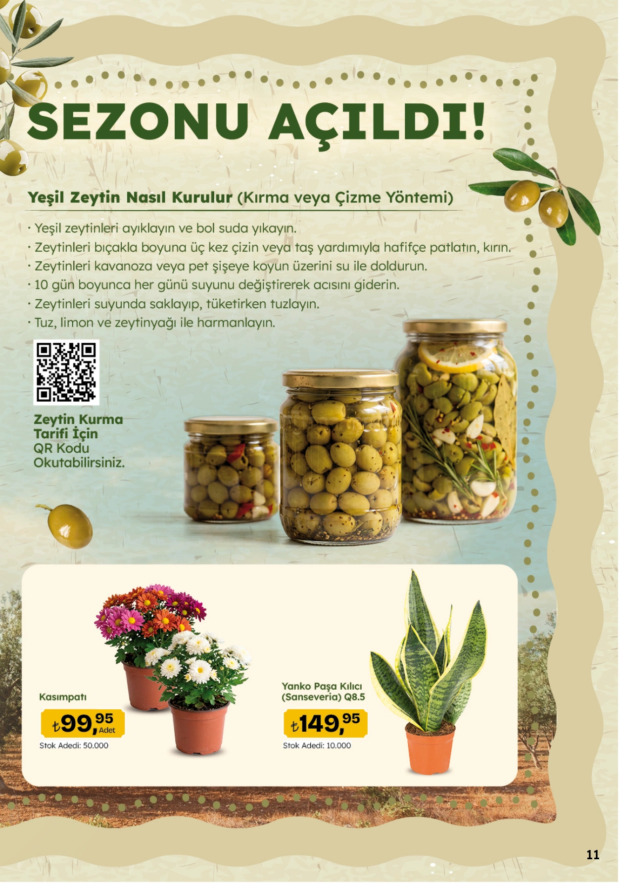Flyer page 11