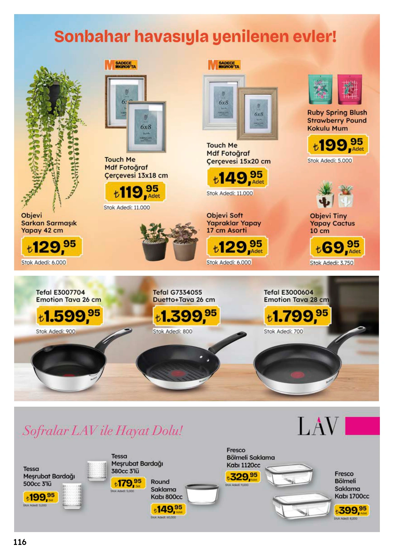 Flyer page 116