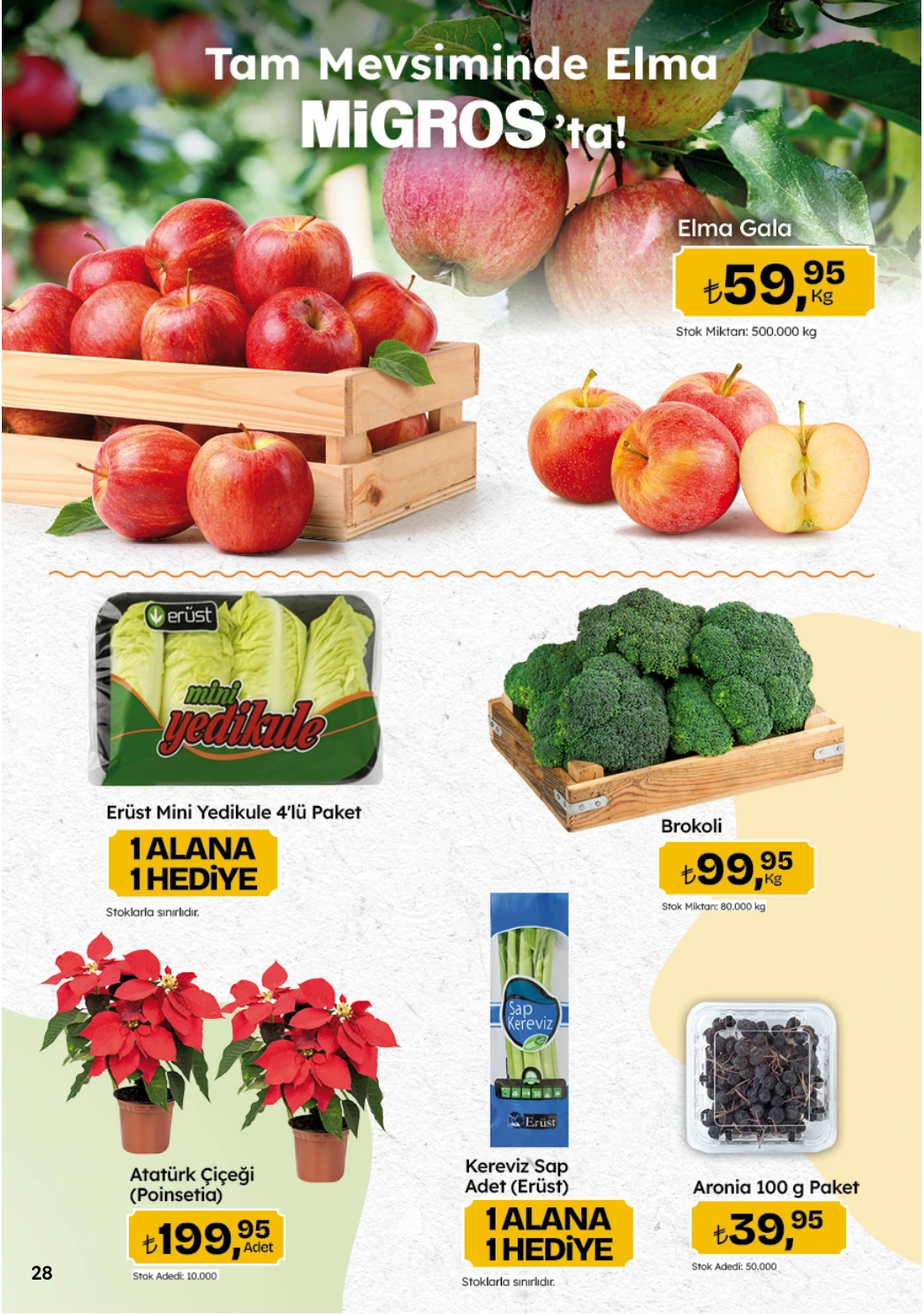 Flyer page 28