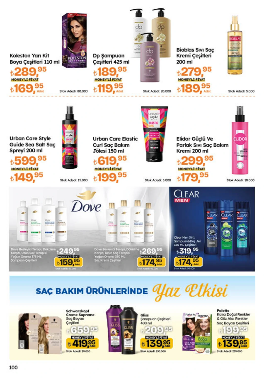 Flyer page 100