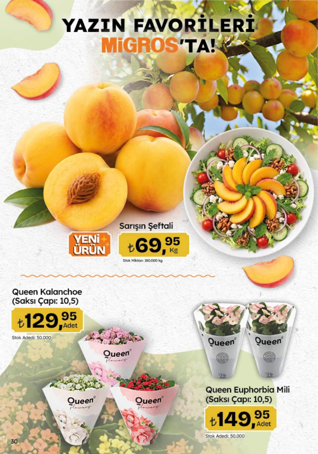 Flyer page 30