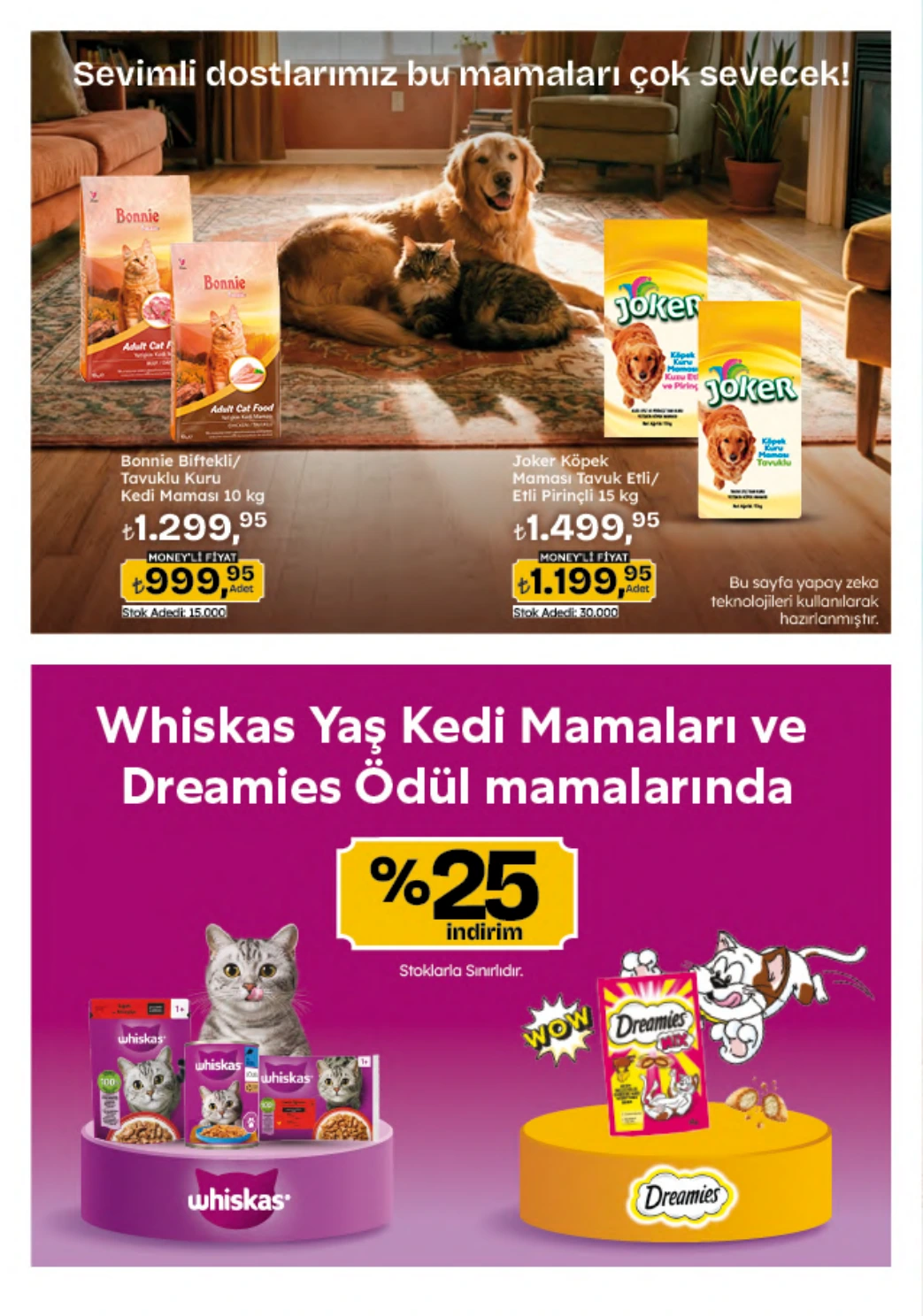 Flyer page 123