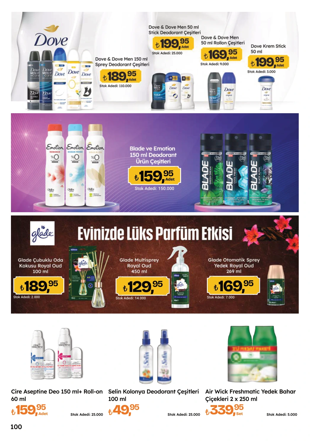 Flyer page 100