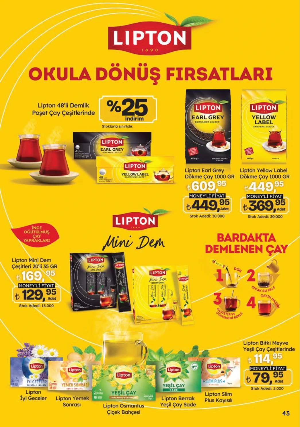 Flyer page 43
