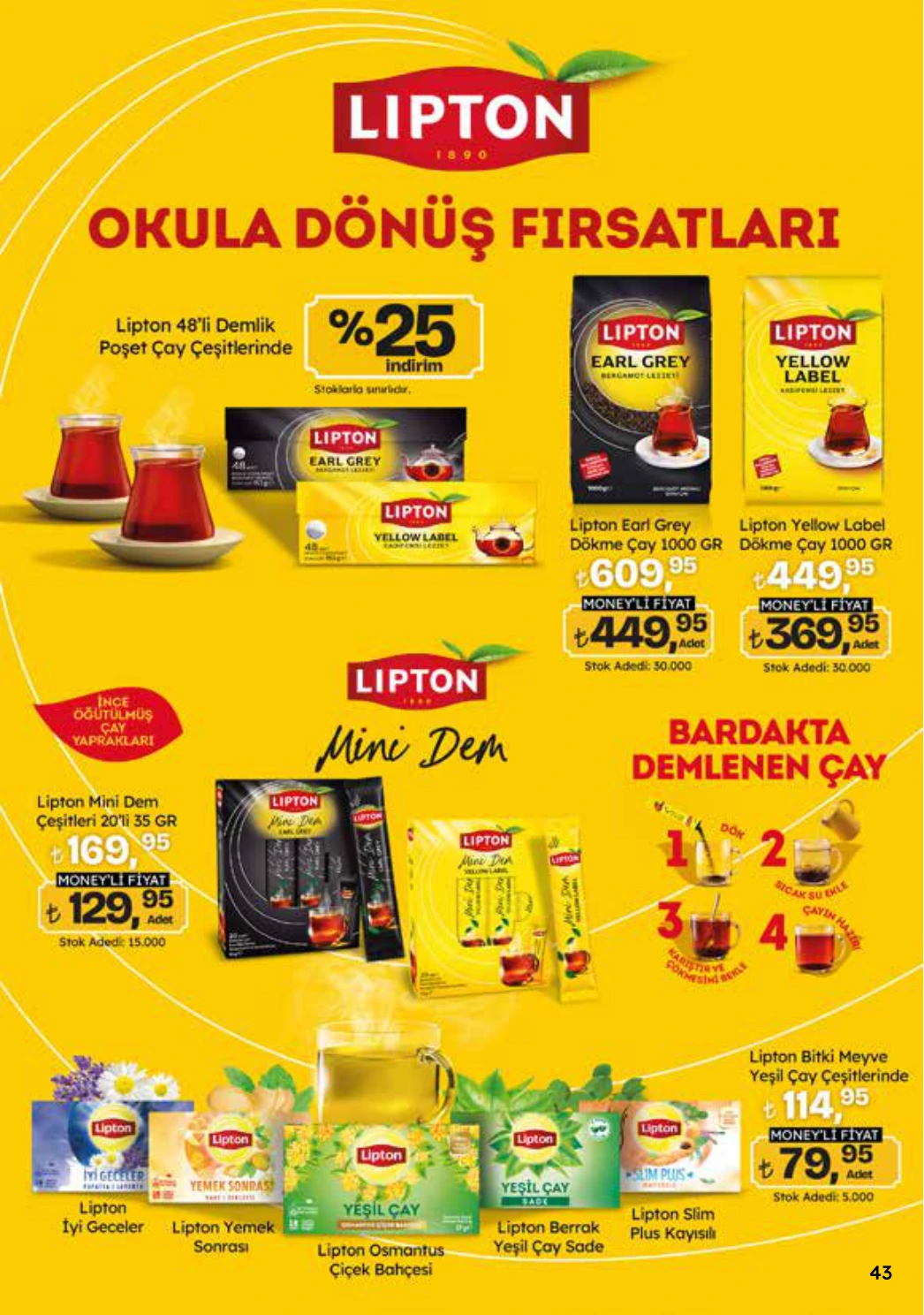 Flyer page 43