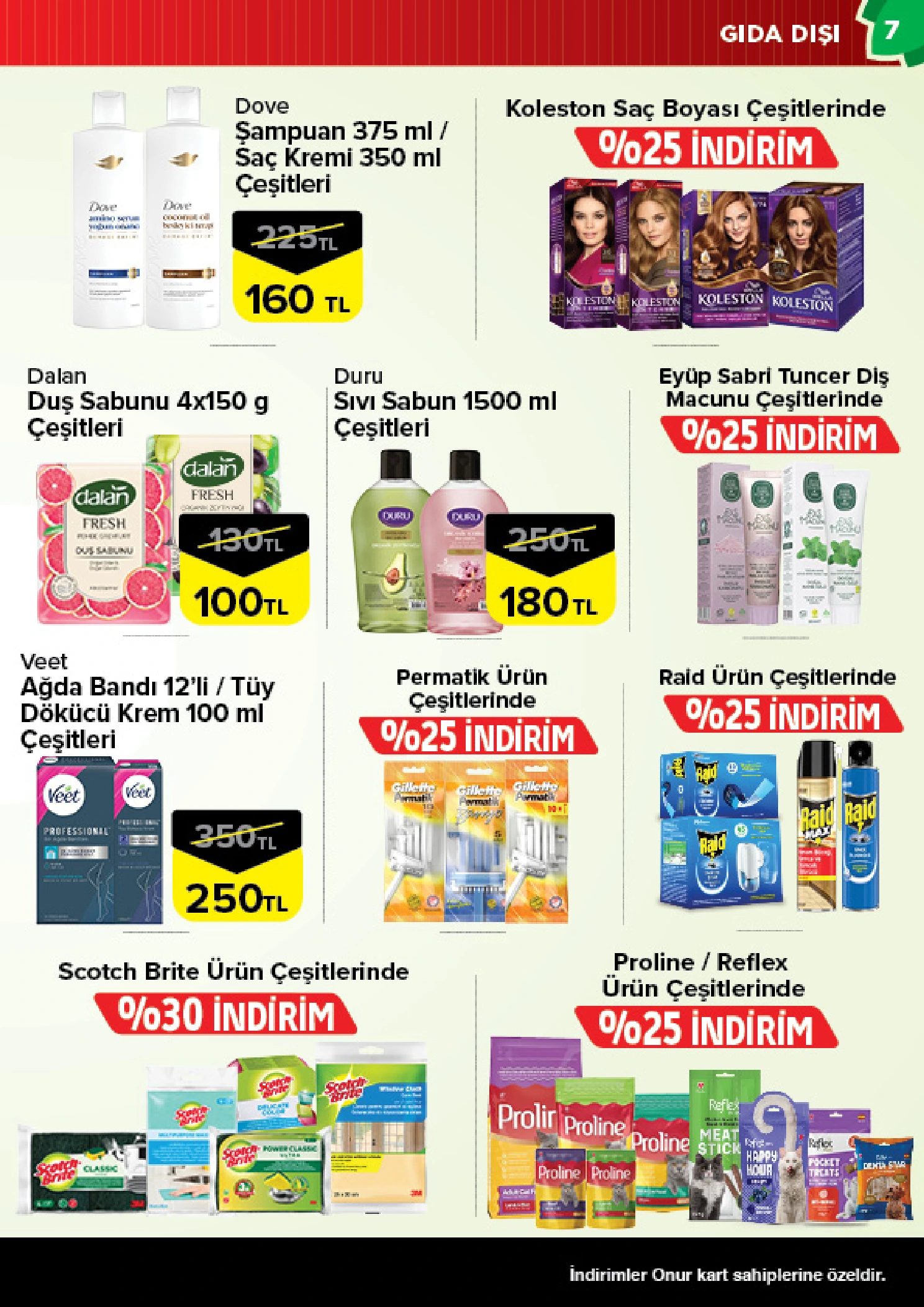 Flyer page 7