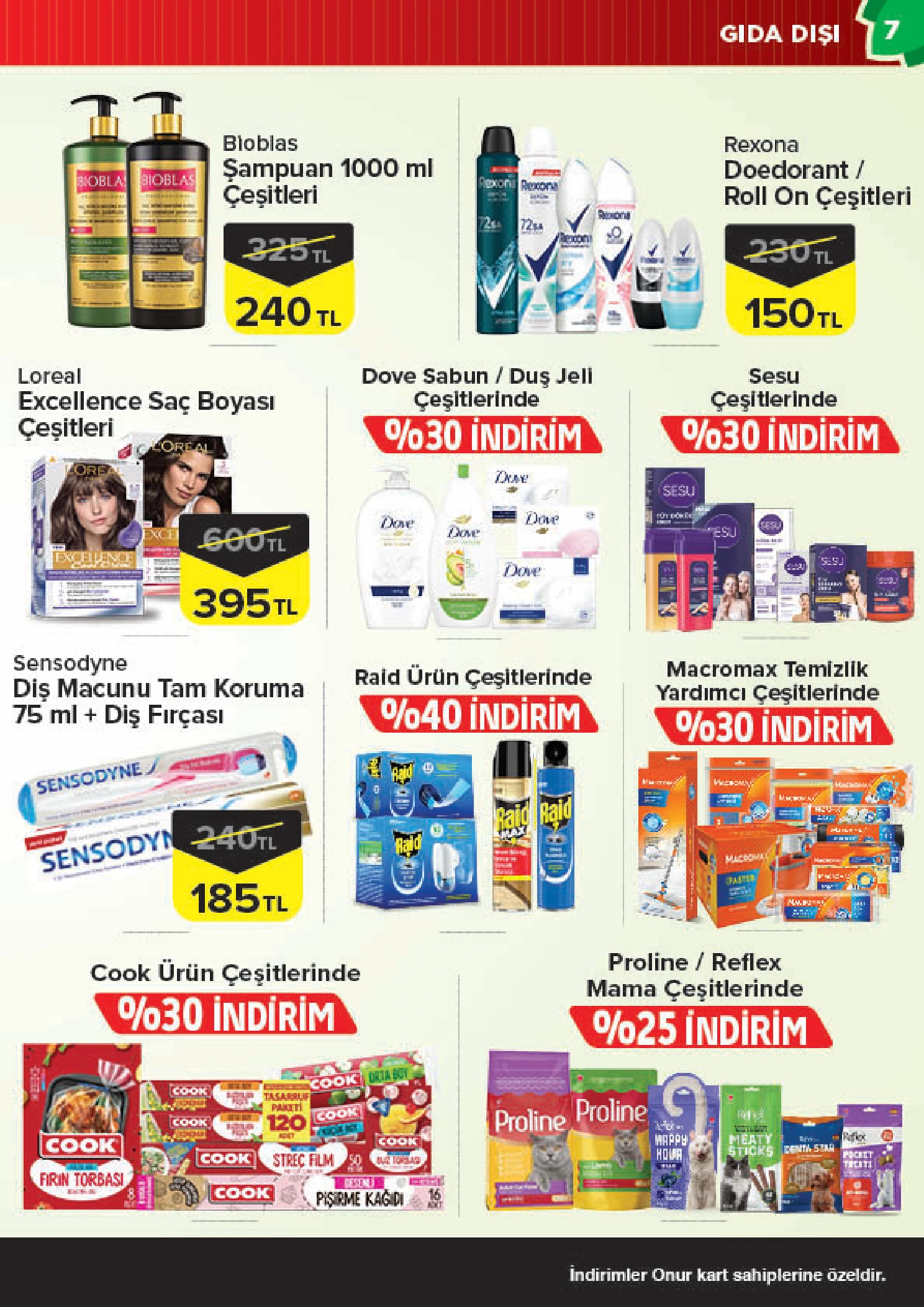 Flyer page 7