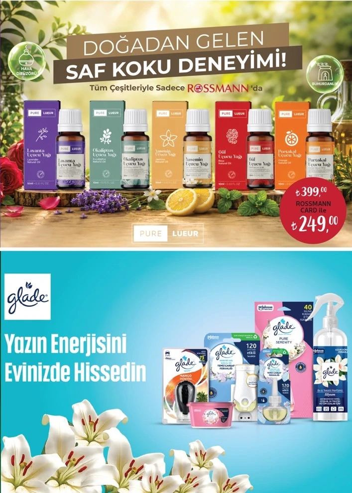 Flyer page 5