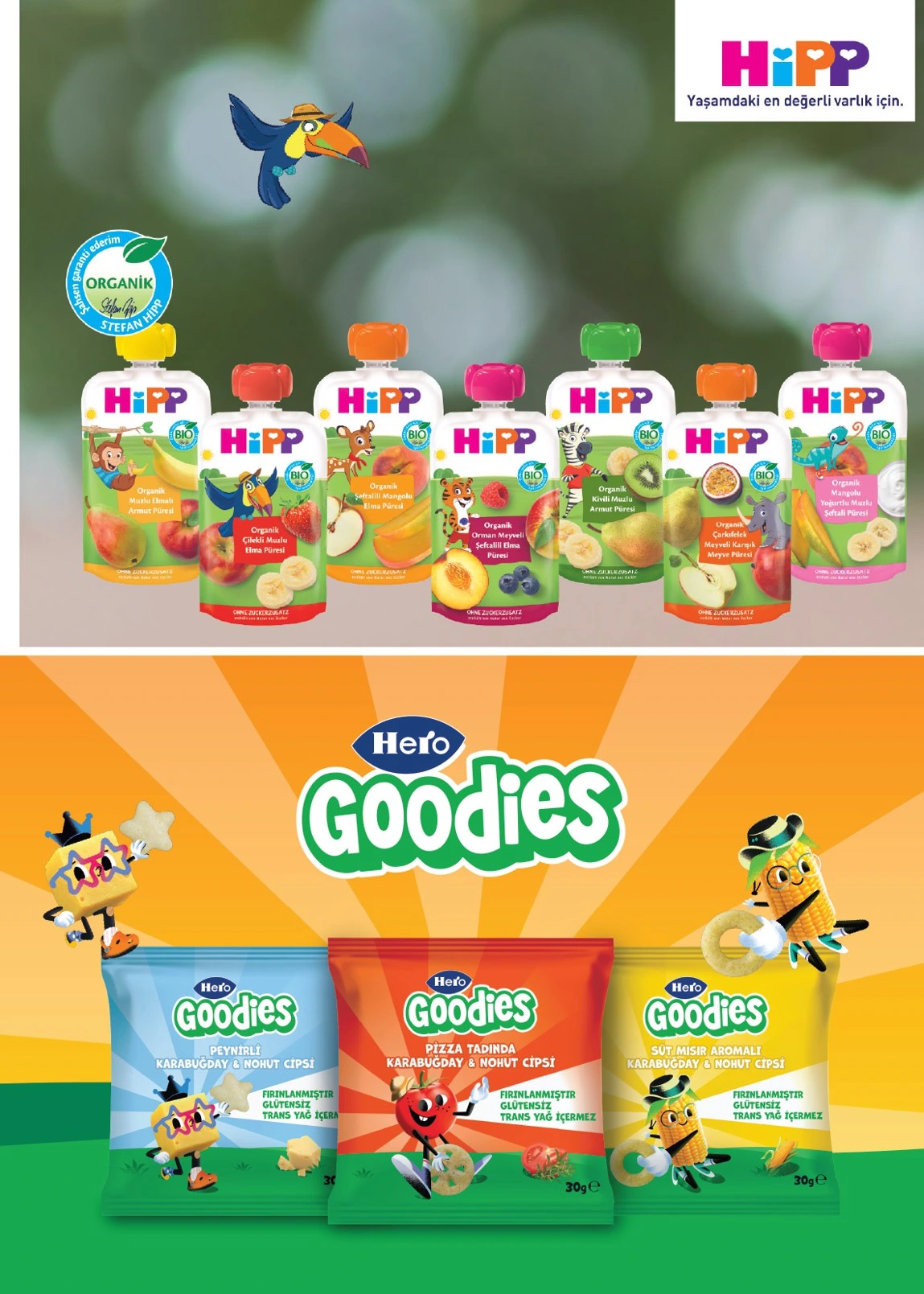 Flyer page 31