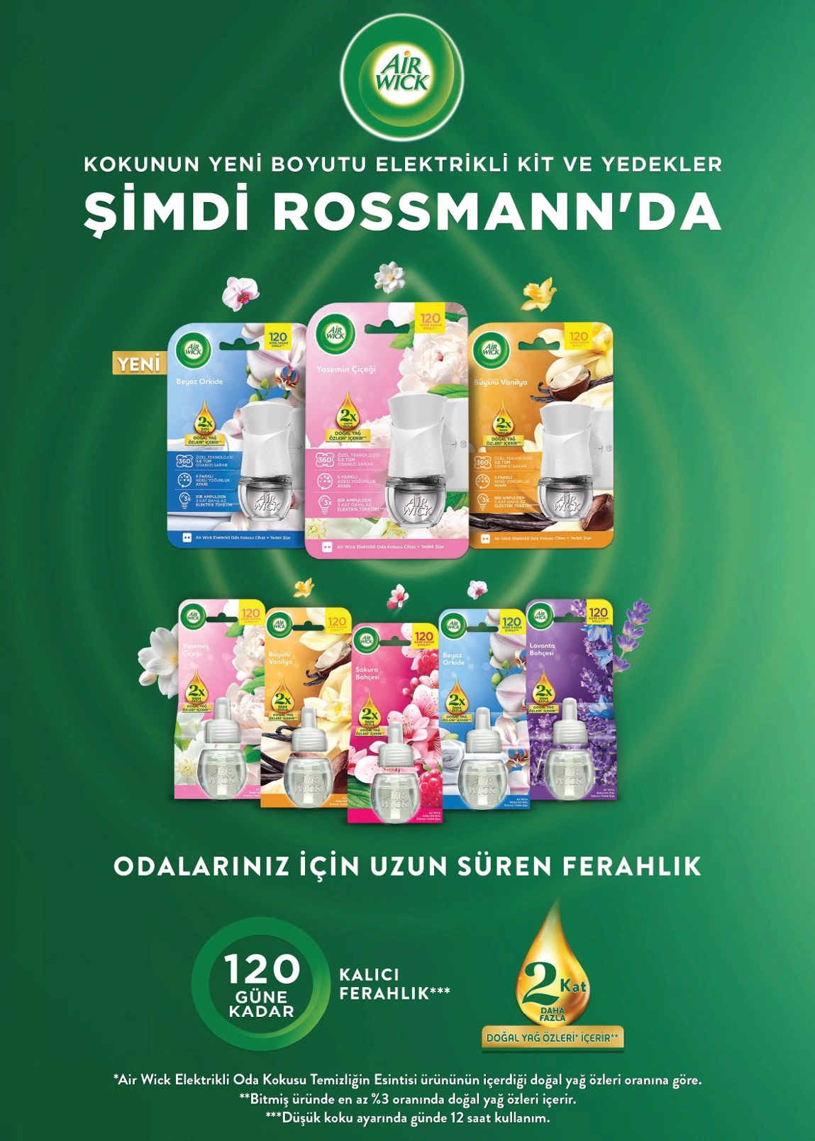 Flyer page 11