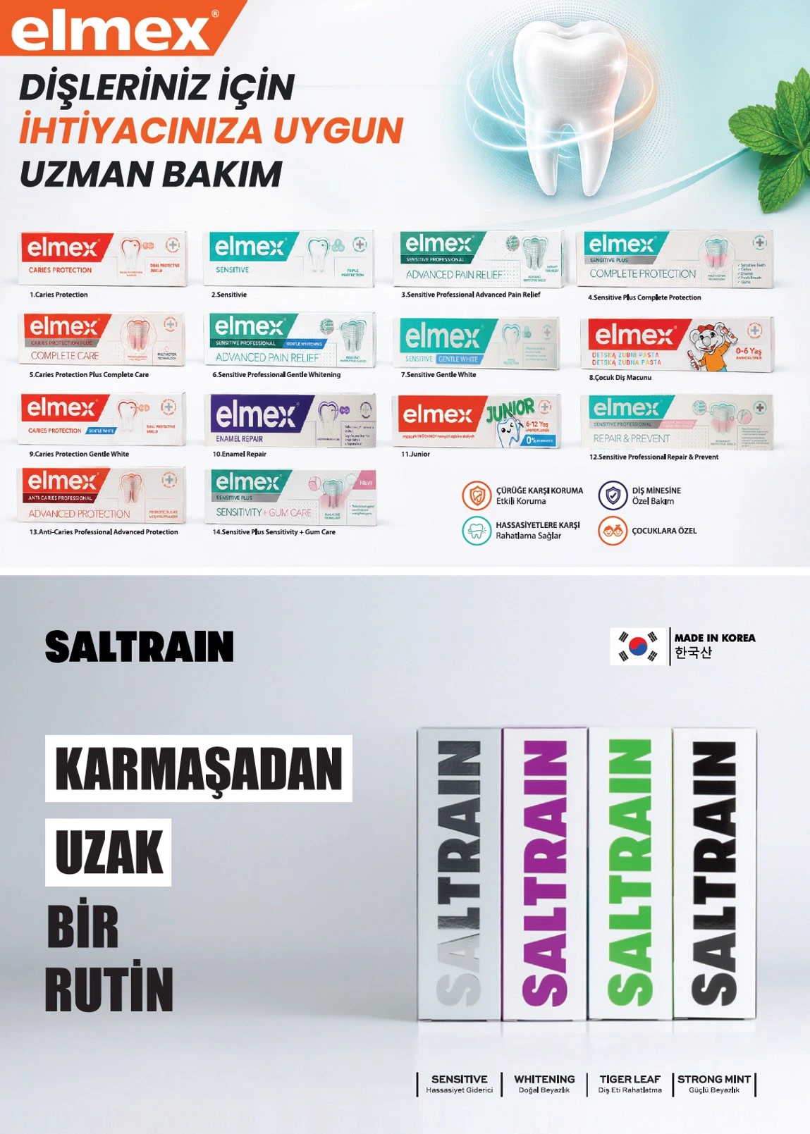Flyer page 11