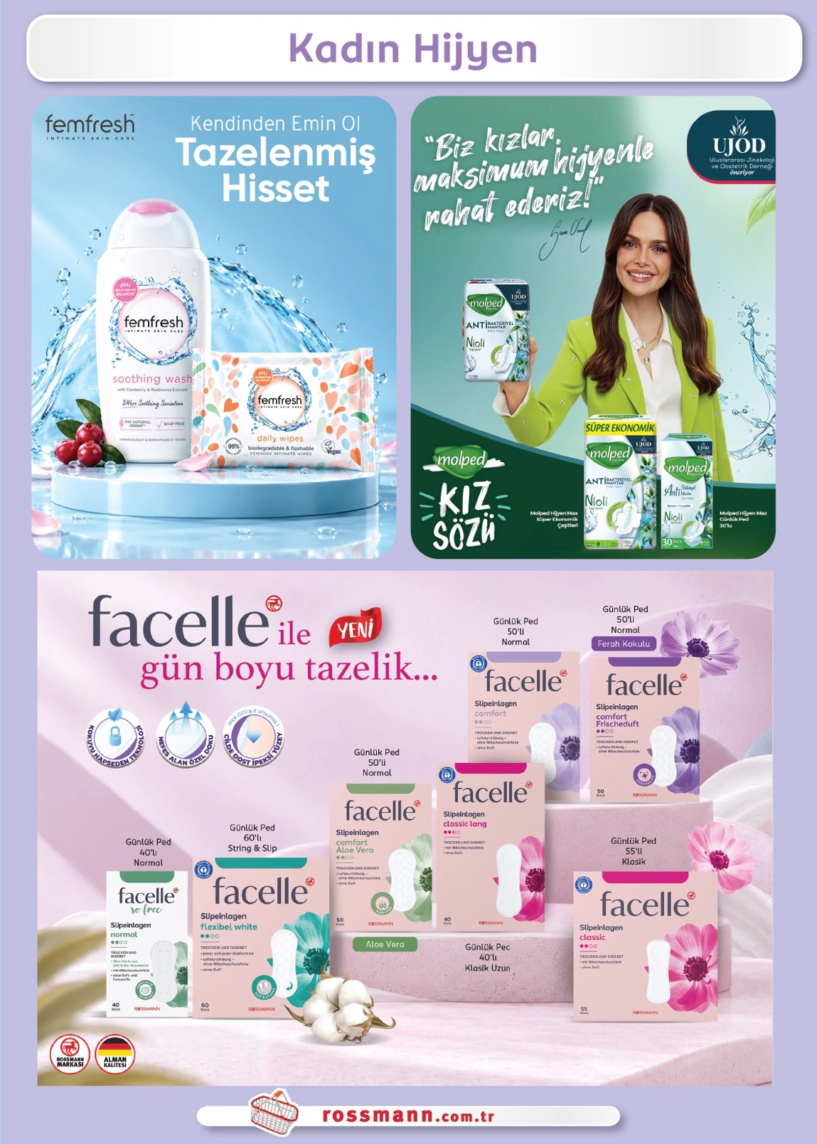 Flyer page 31
