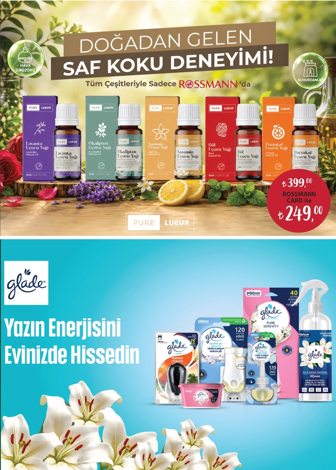 Flyer page 5