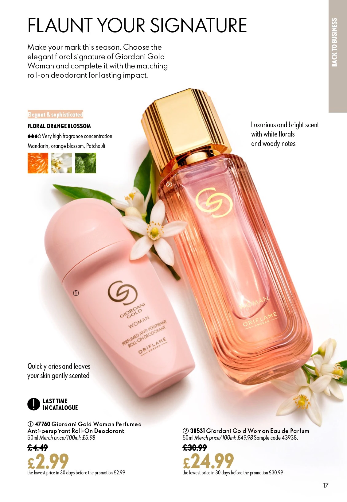 Flyer page 17