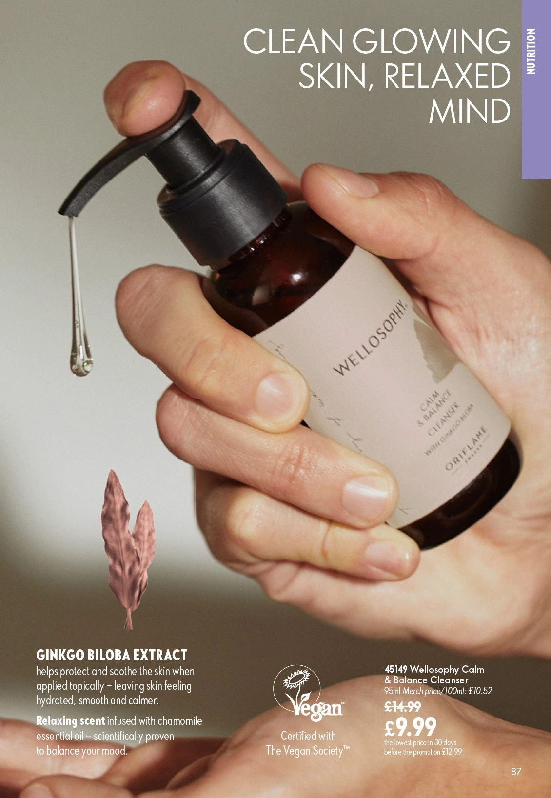 Flyer page 87