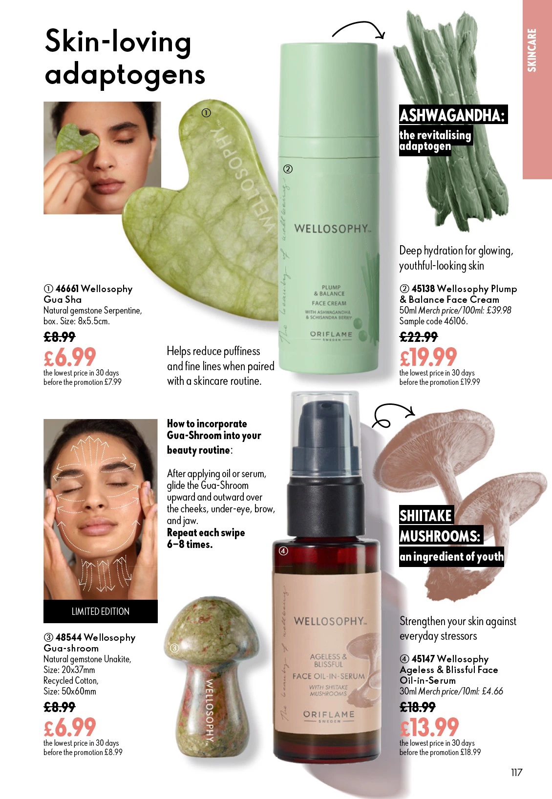 Flyer page 117