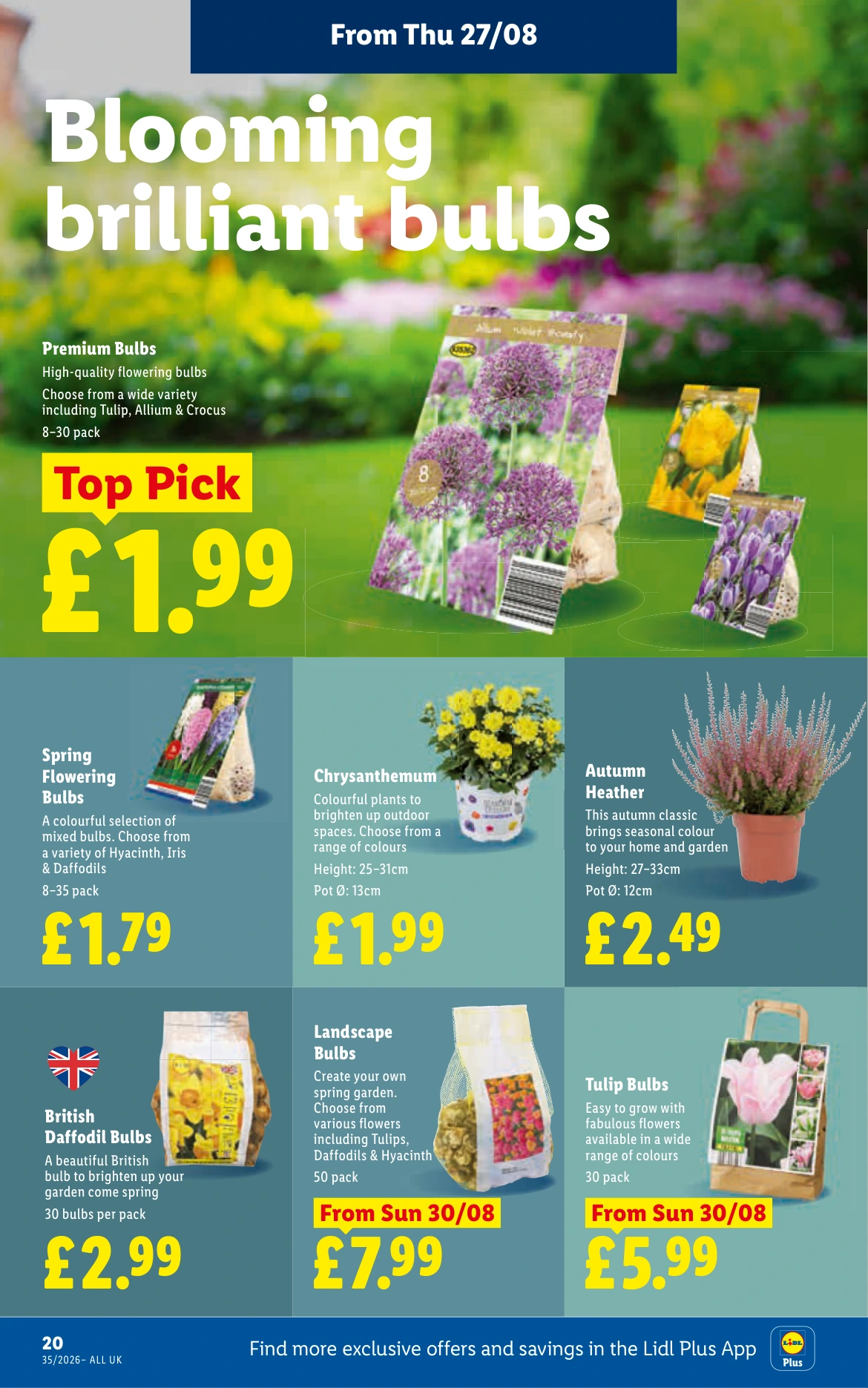 Flyer page 22