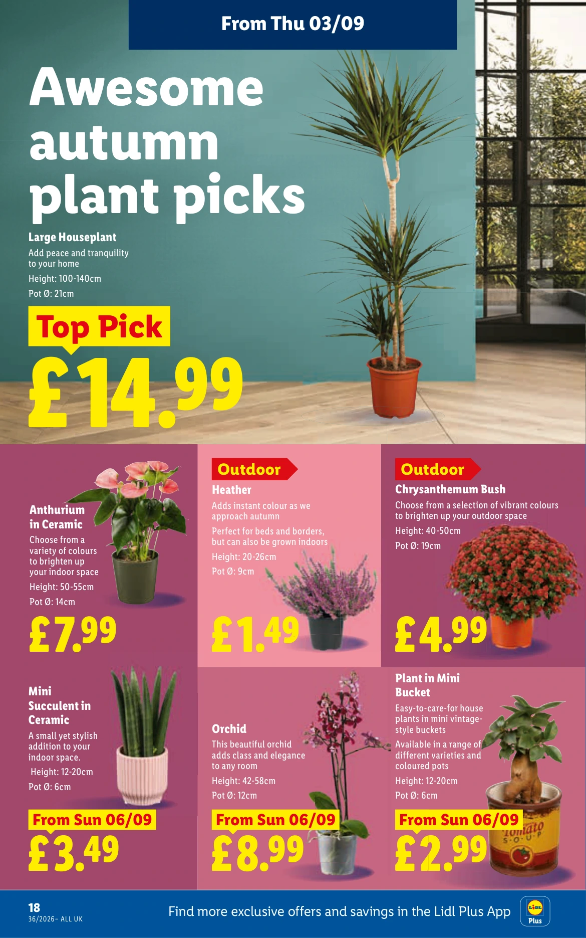 Flyer page 20