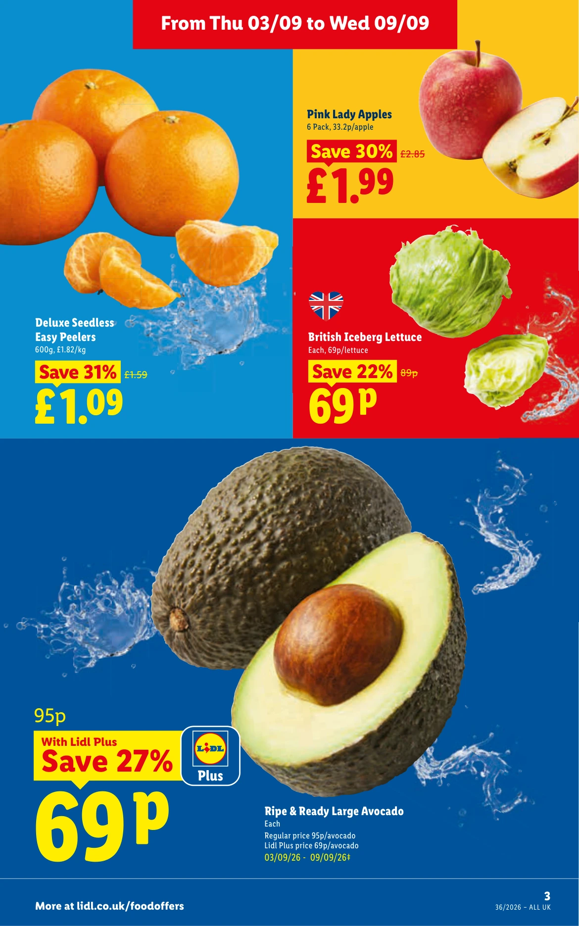 Flyer page 3