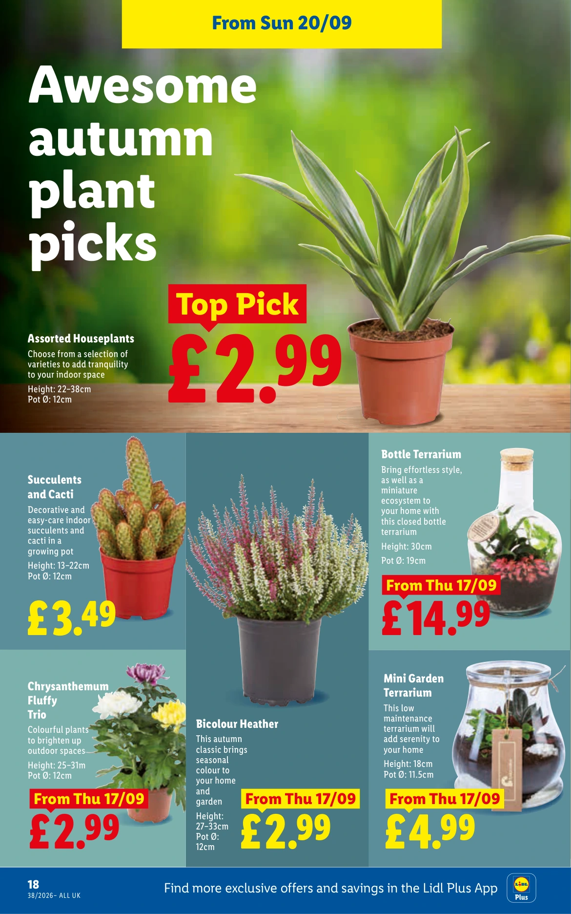 Flyer page 20